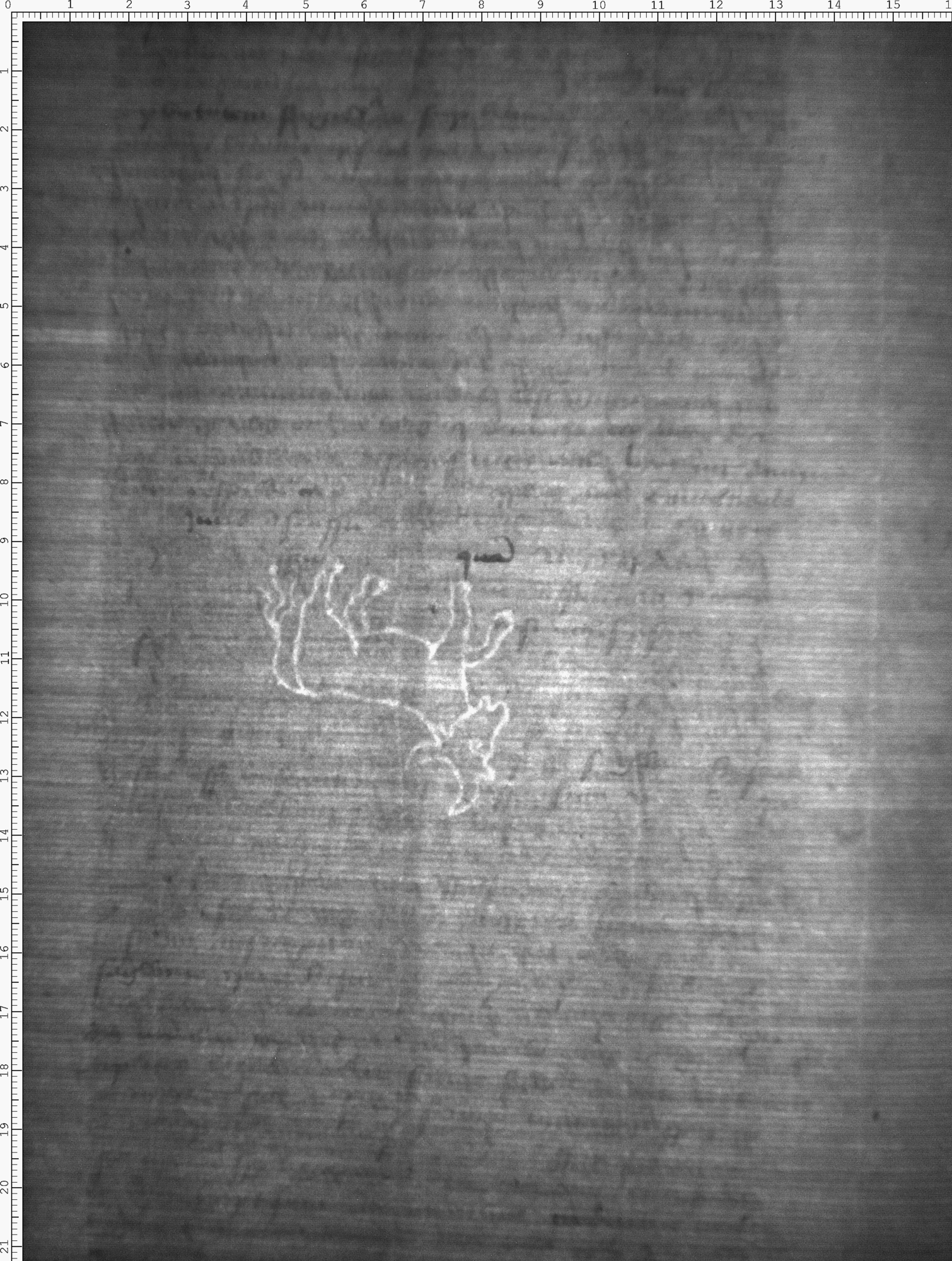 Watermark