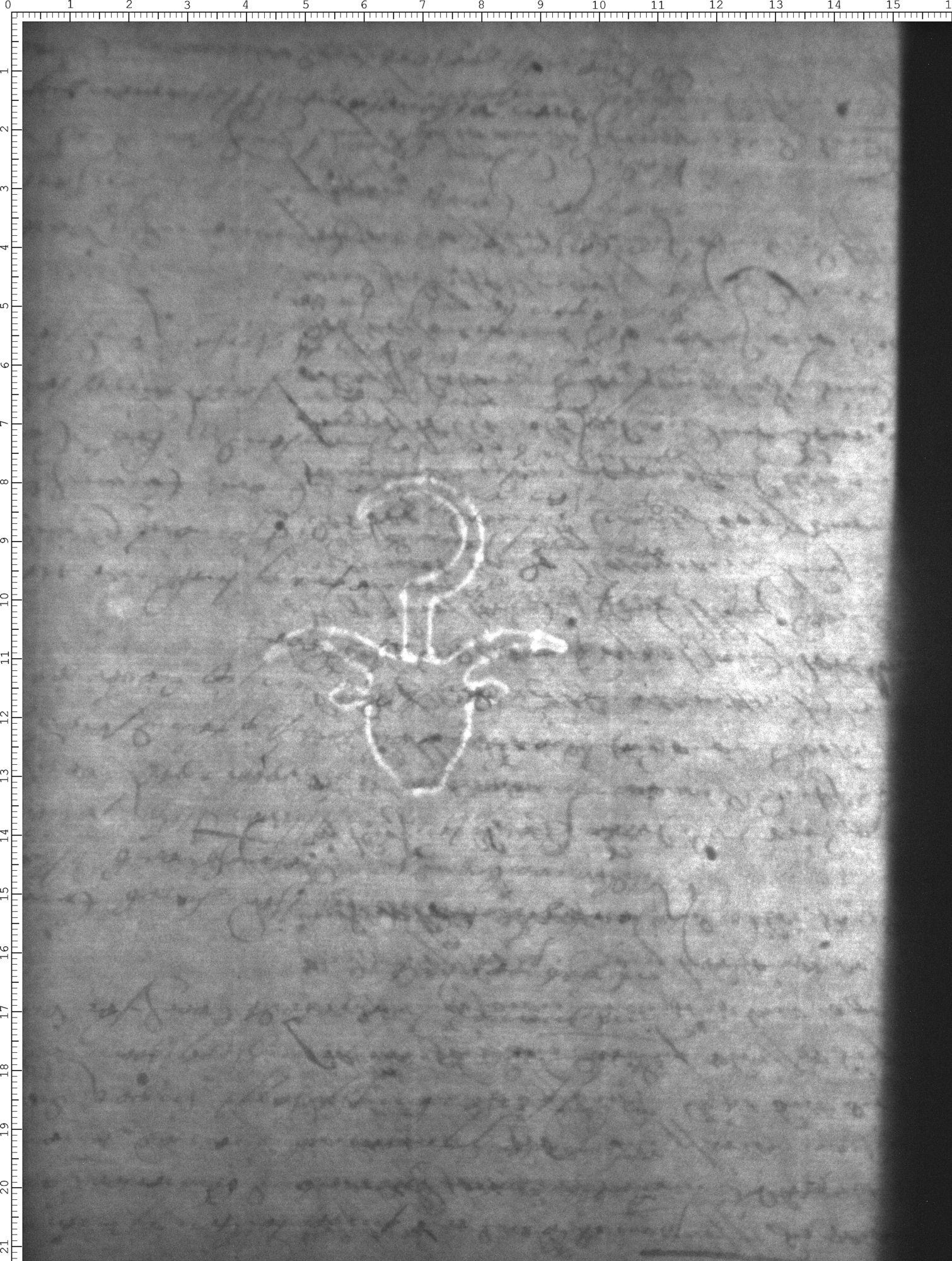 Watermark
