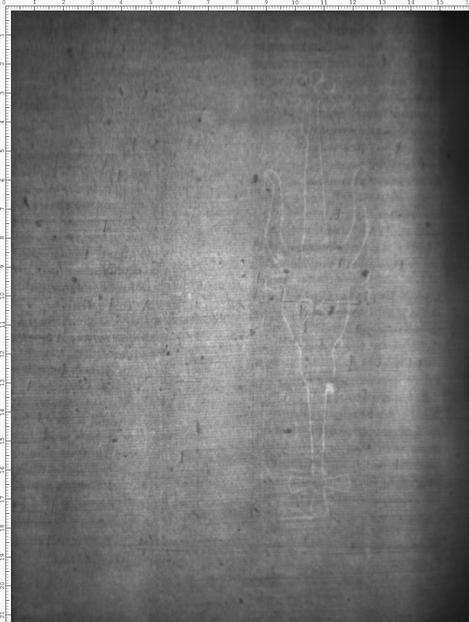 Watermark