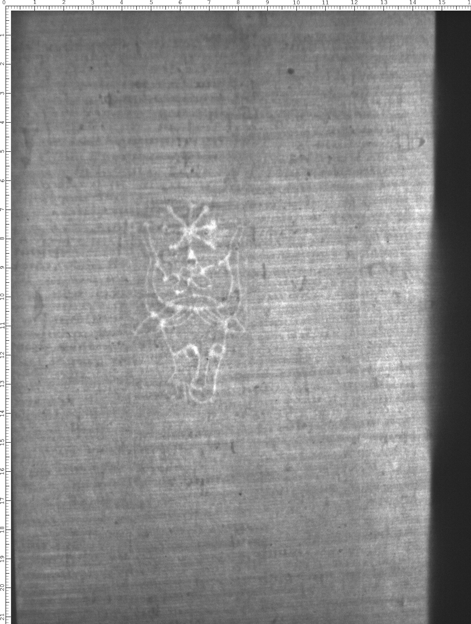 Watermark