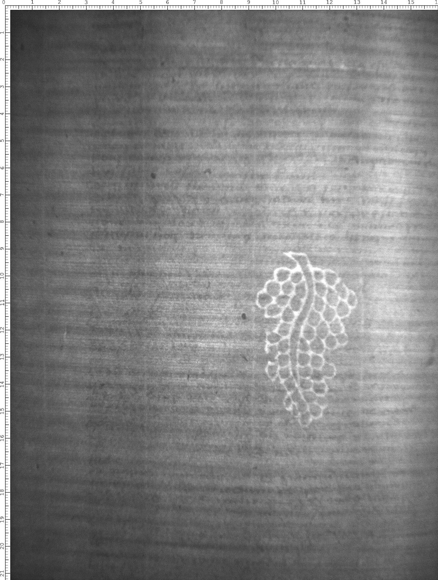 Watermark