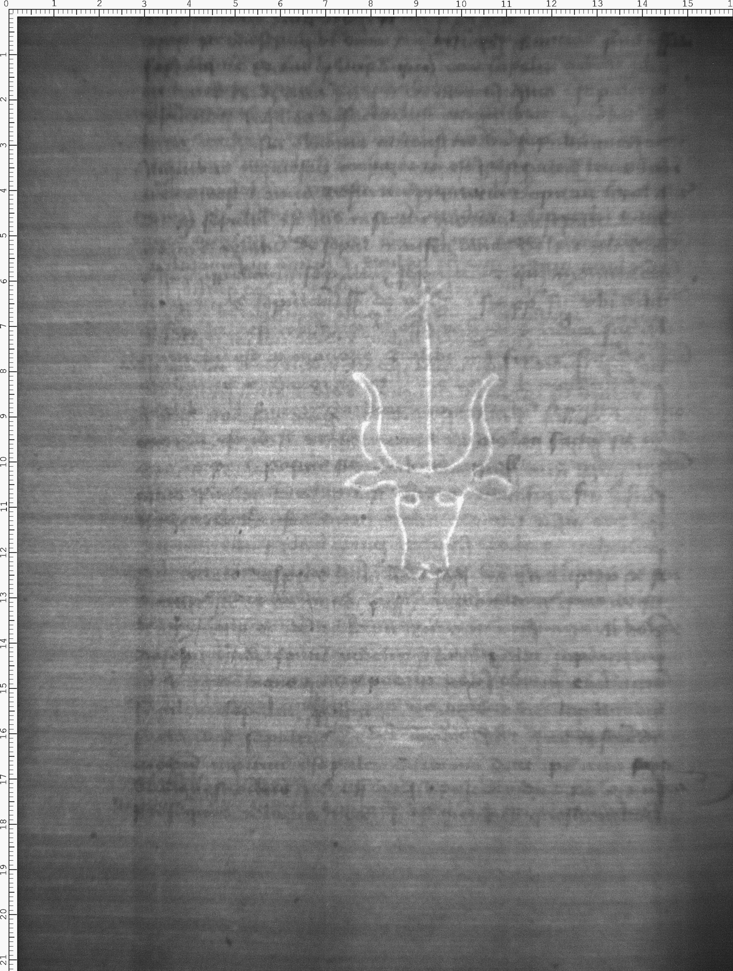 Watermark