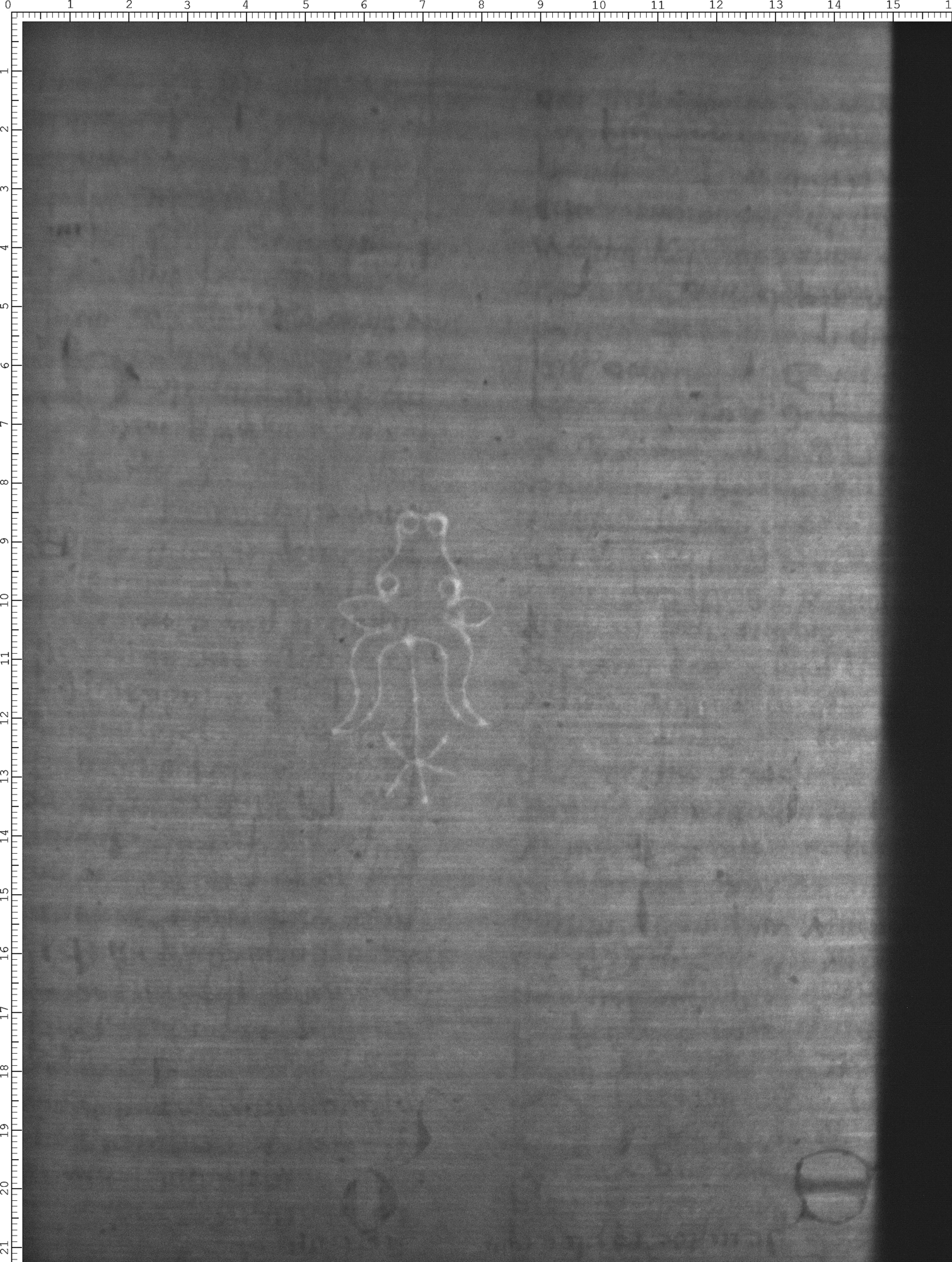 Watermark