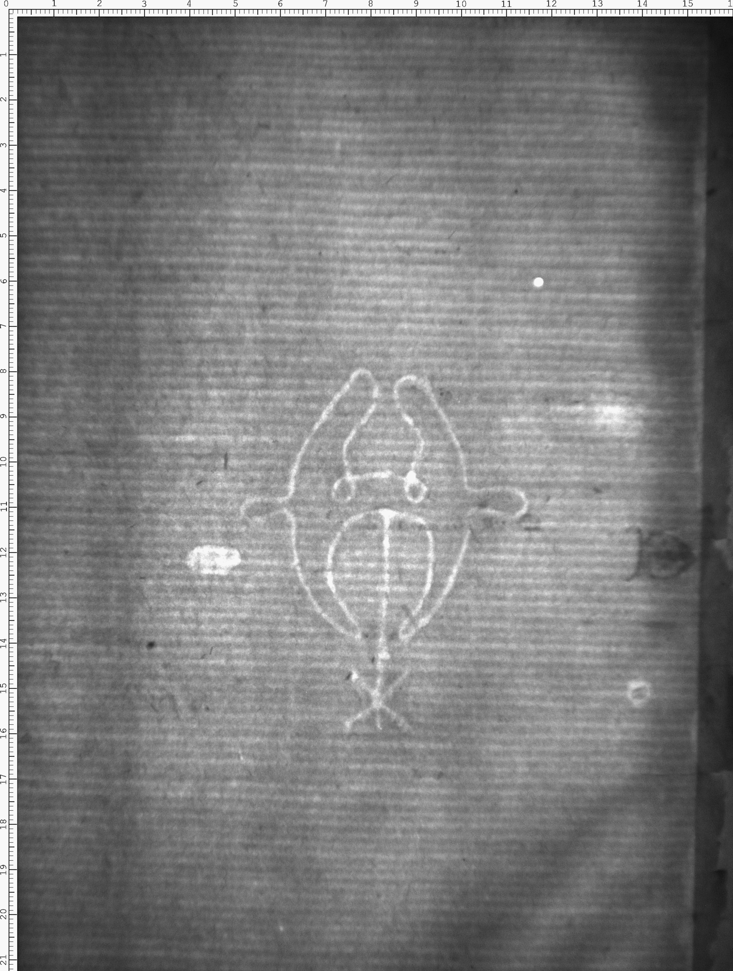 Watermark