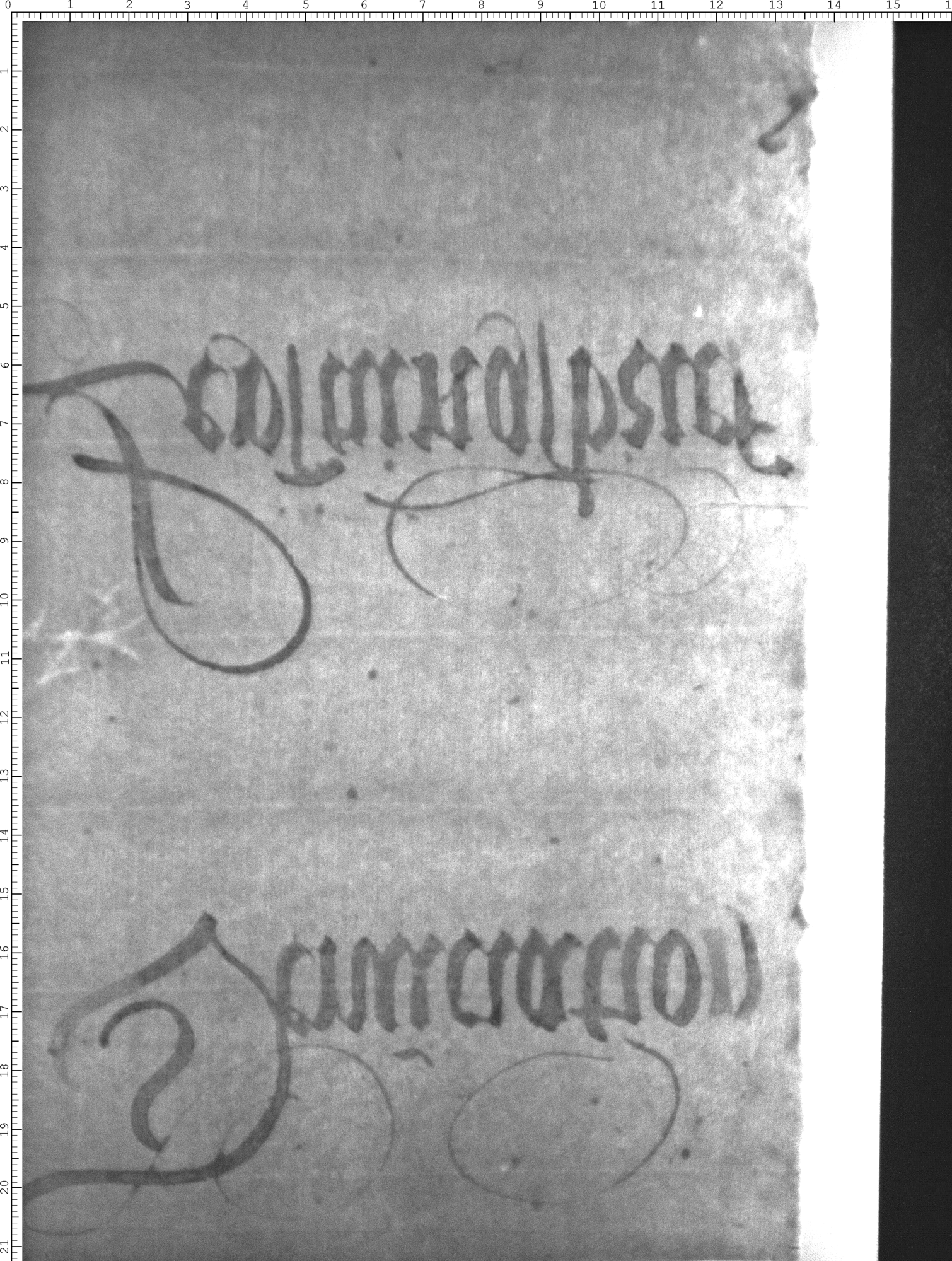Watermark