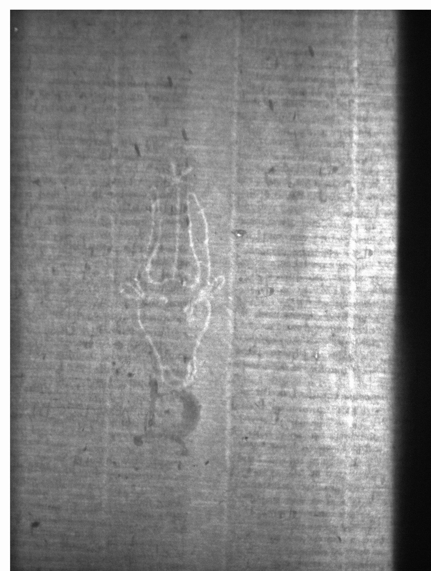 Watermark