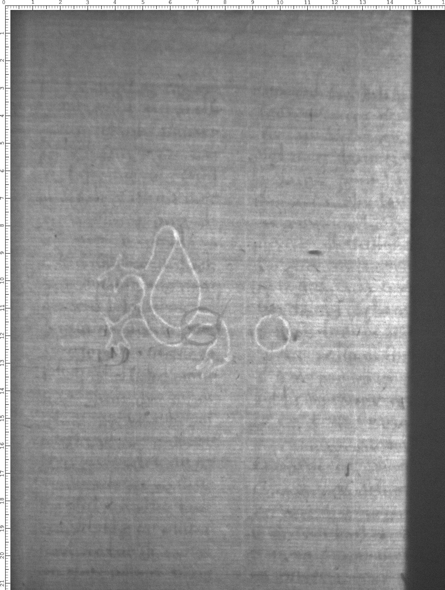 Watermark