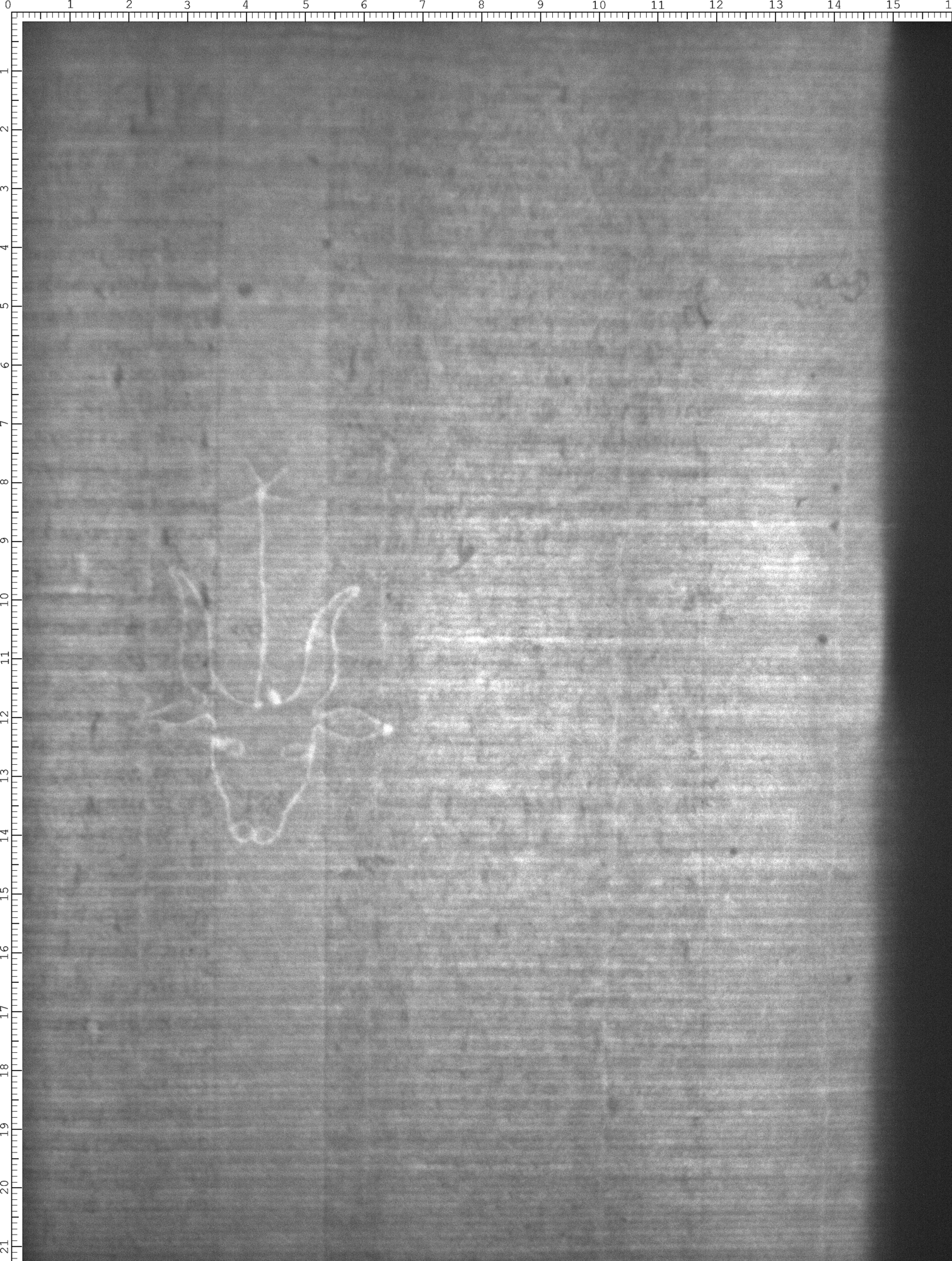 Watermark
