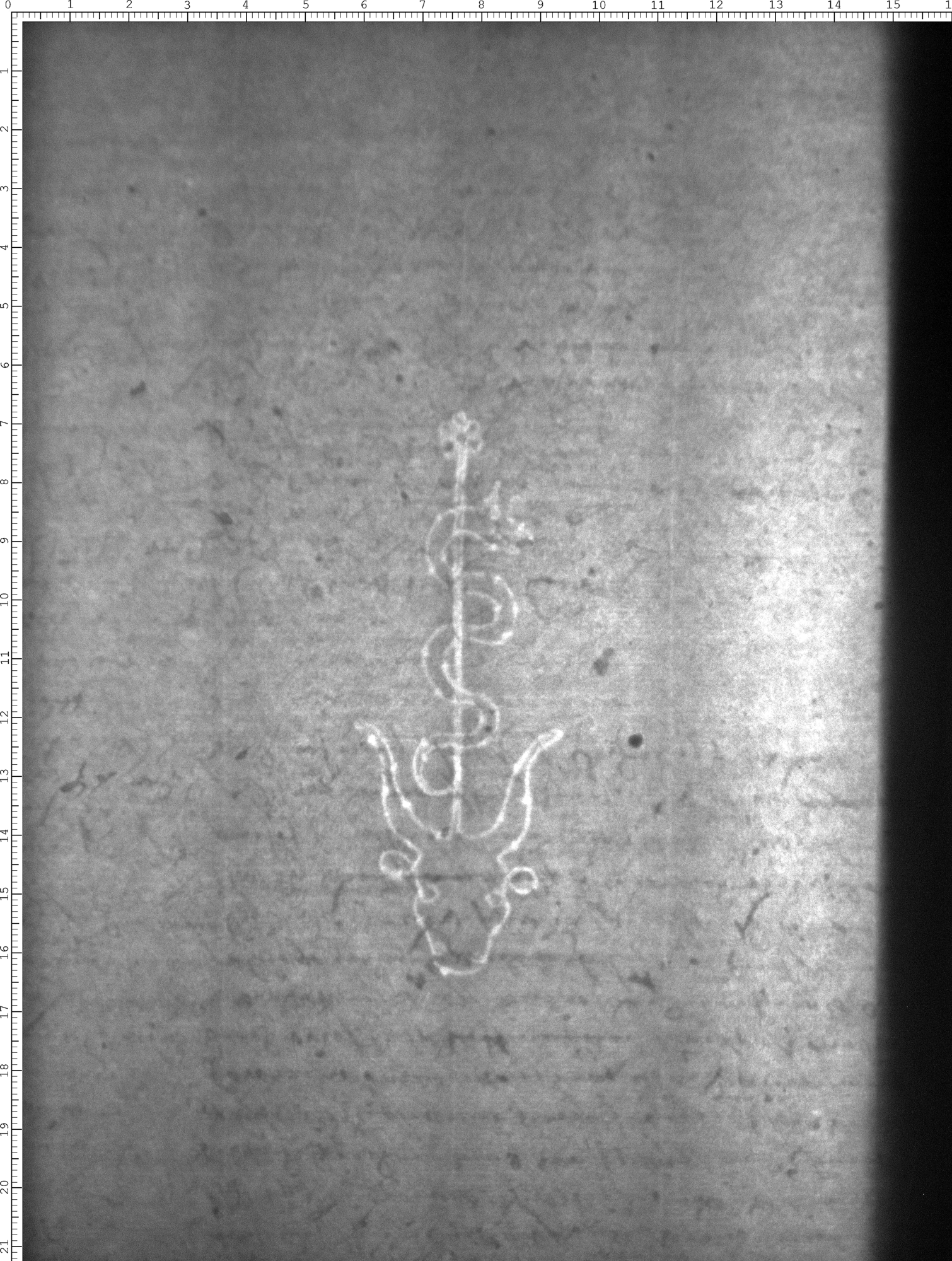 Watermark