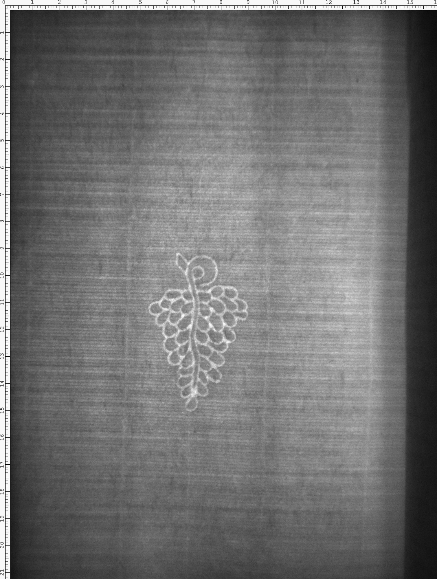 Watermark
