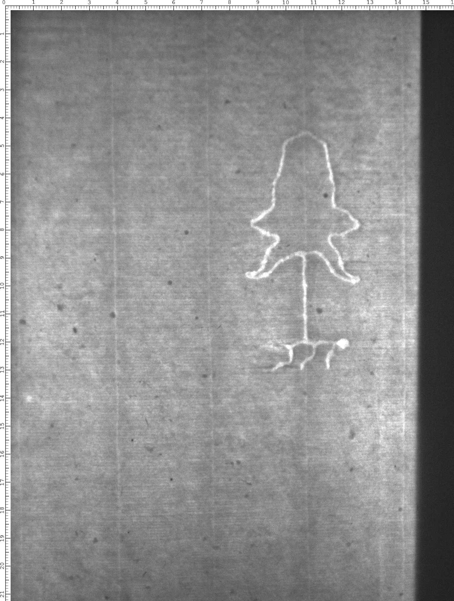 Watermark