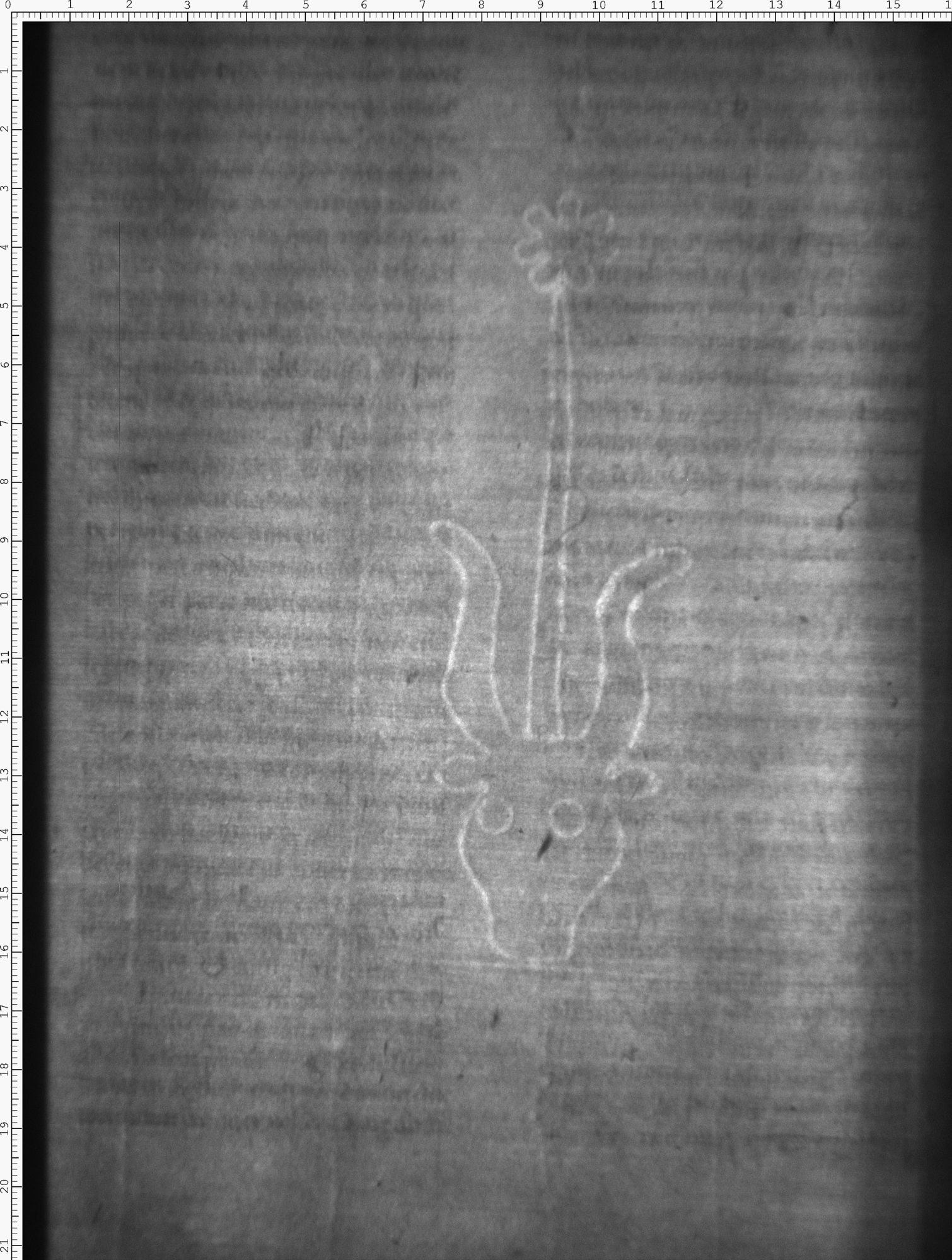 Watermark