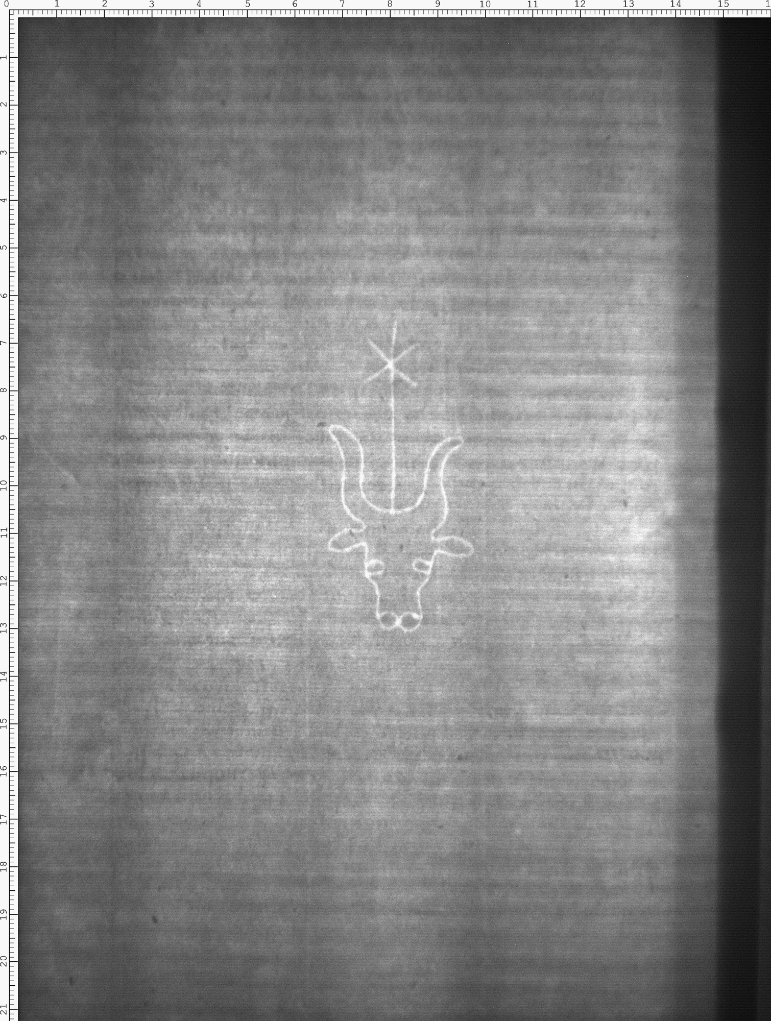 Watermark
