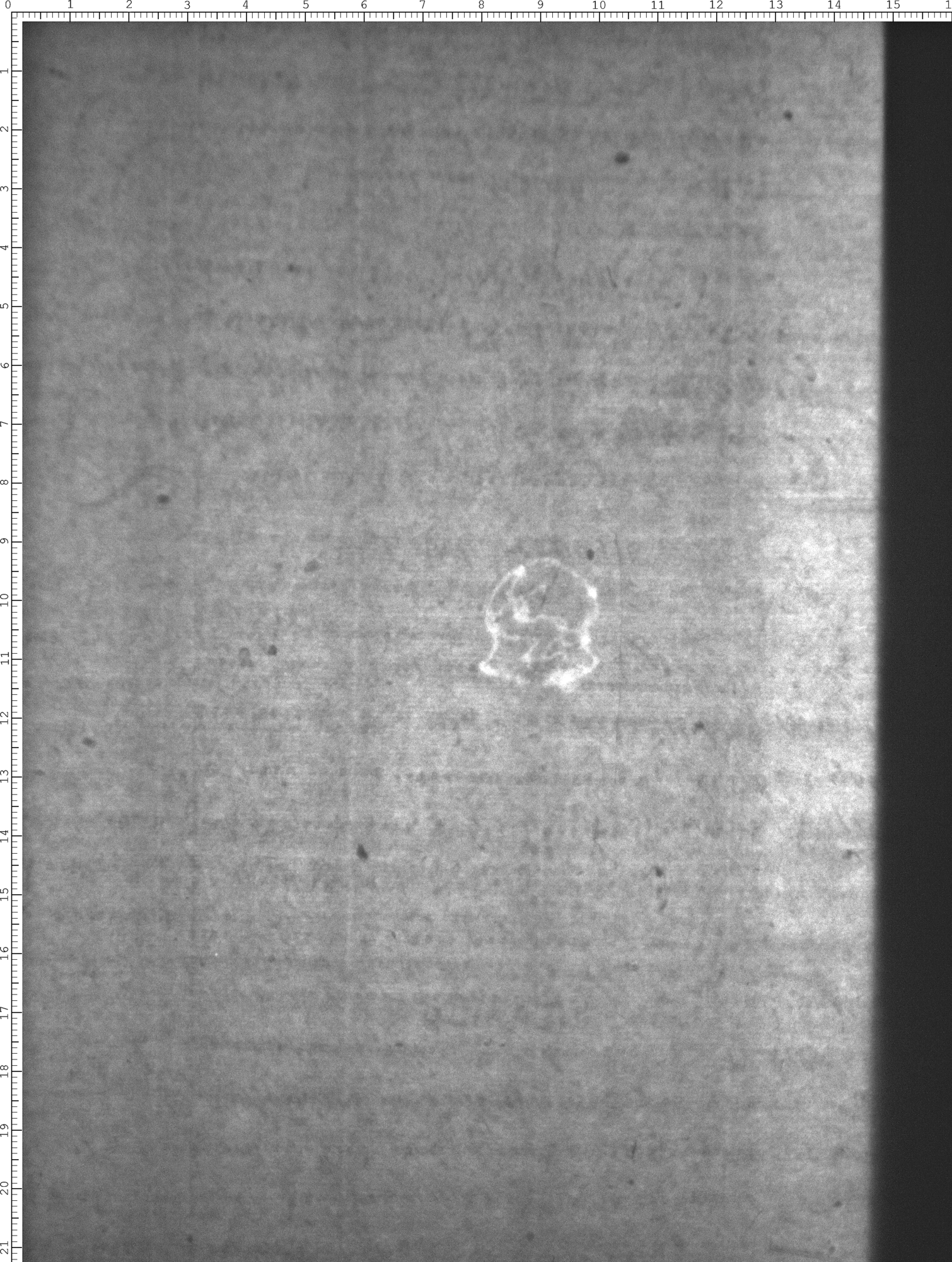 Watermark