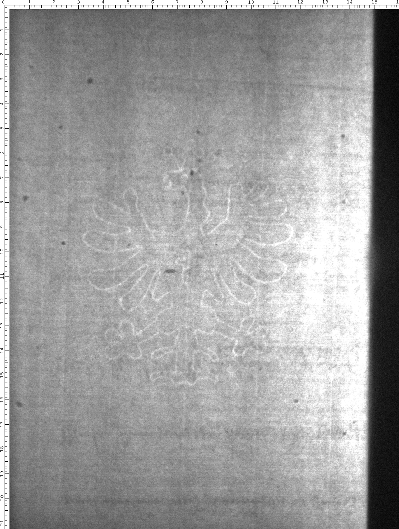 Watermark