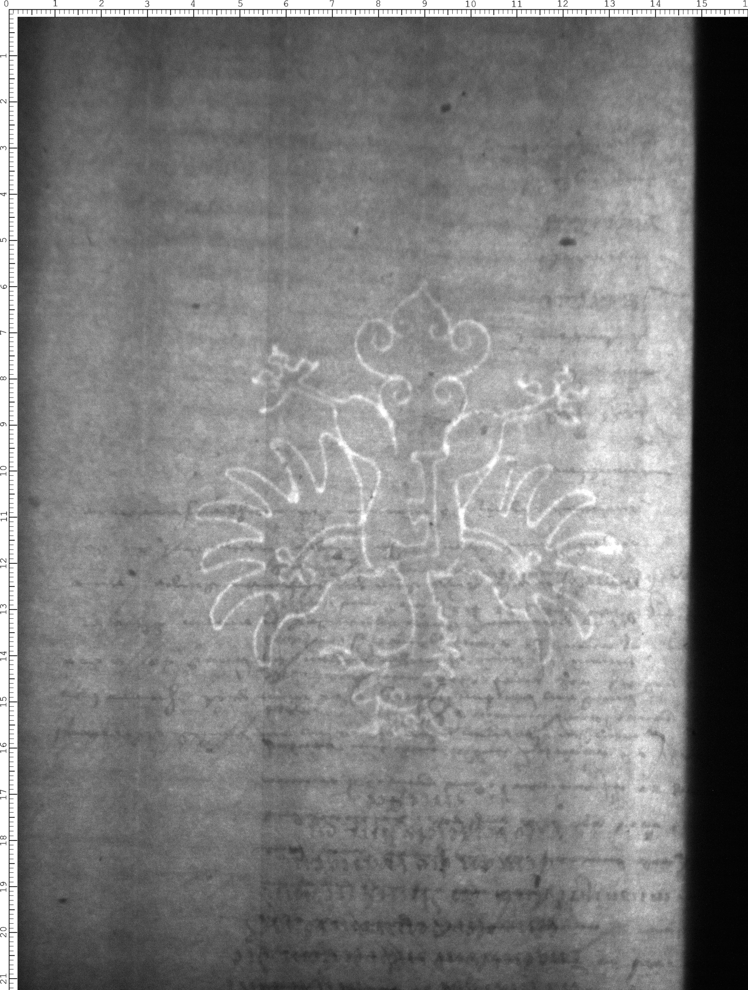 Watermark