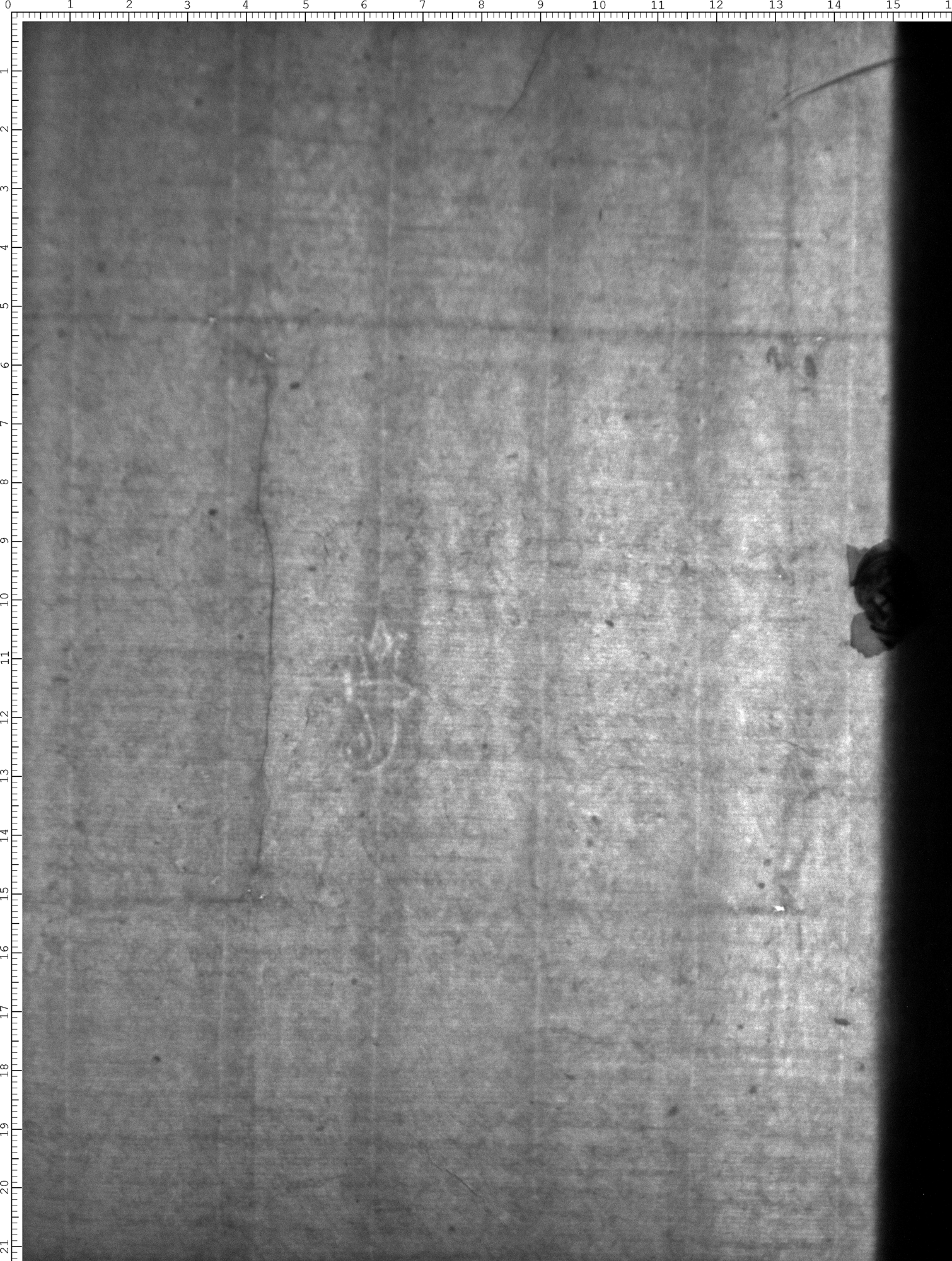 Watermark