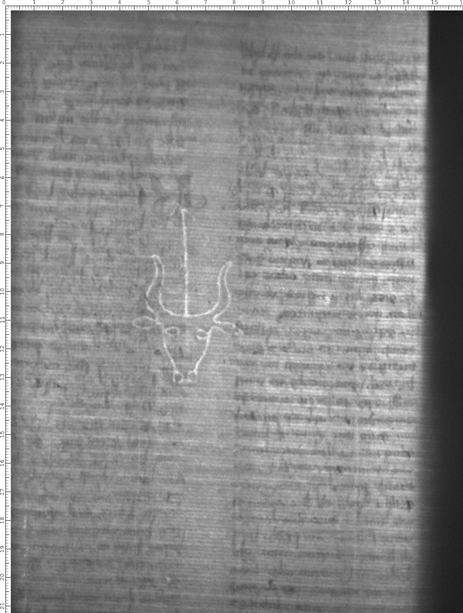 Watermark