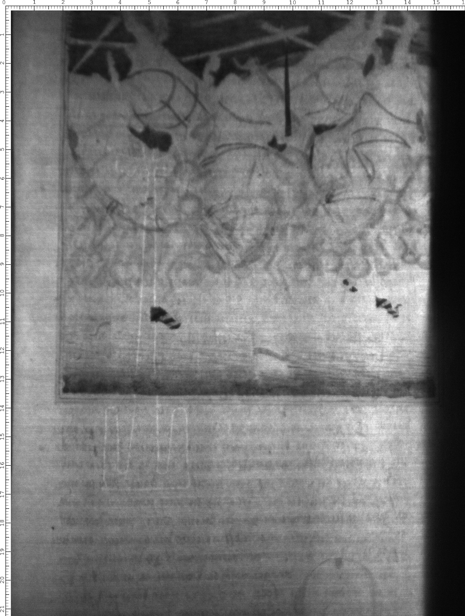 Watermark