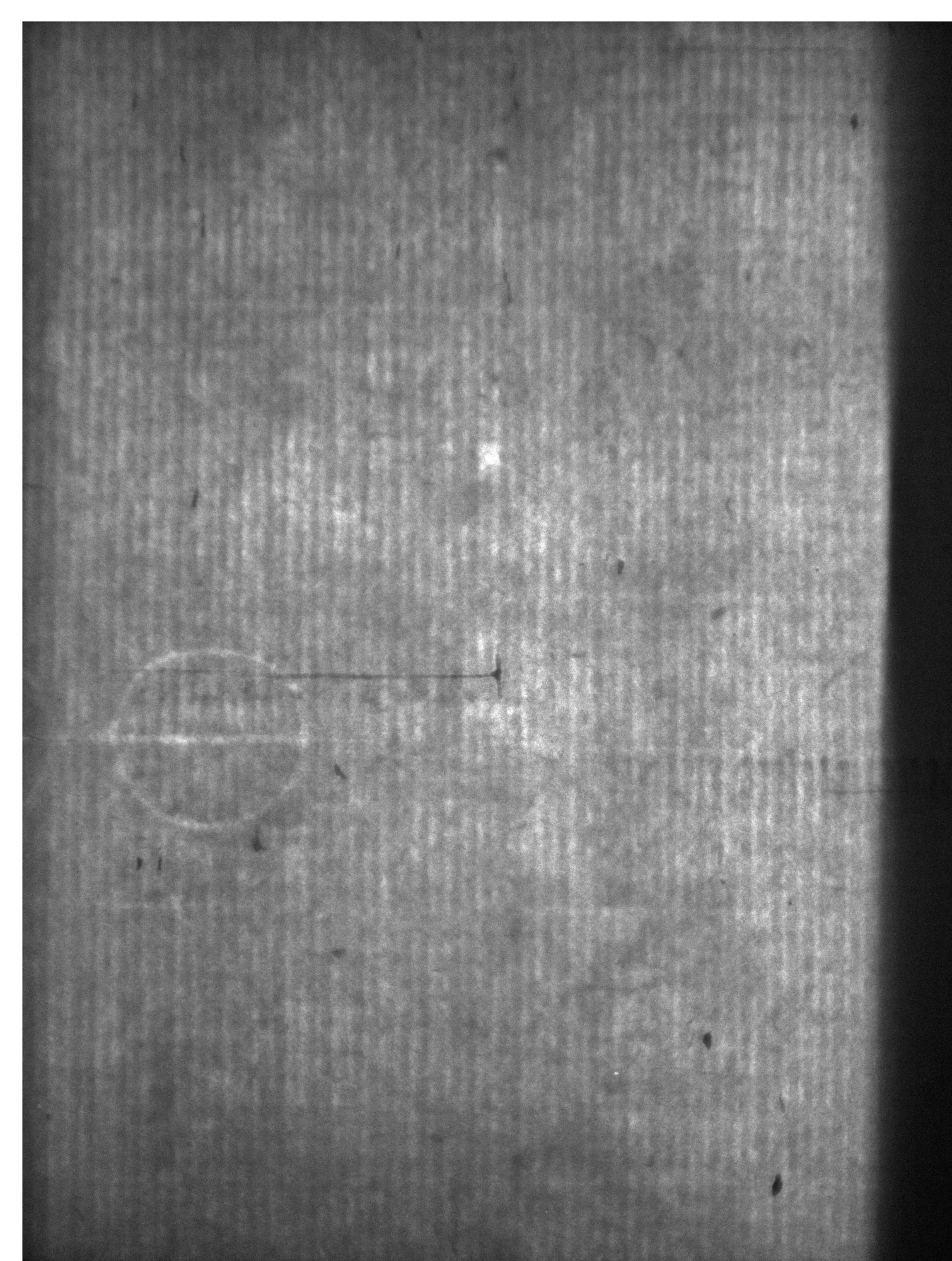Watermark