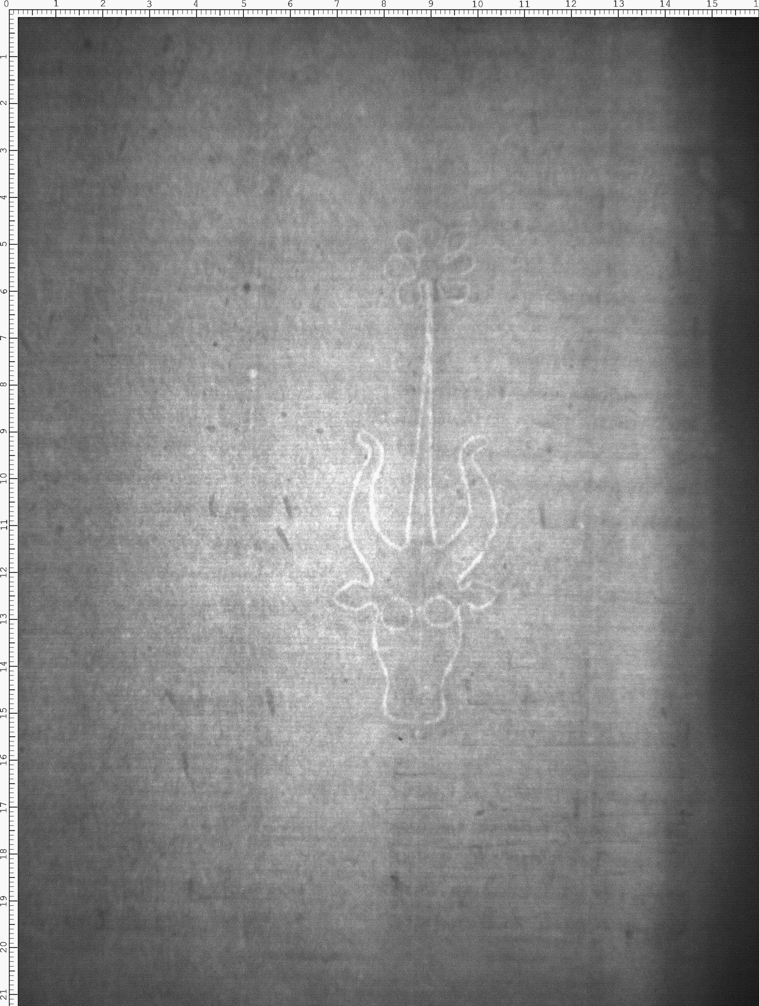 Watermark