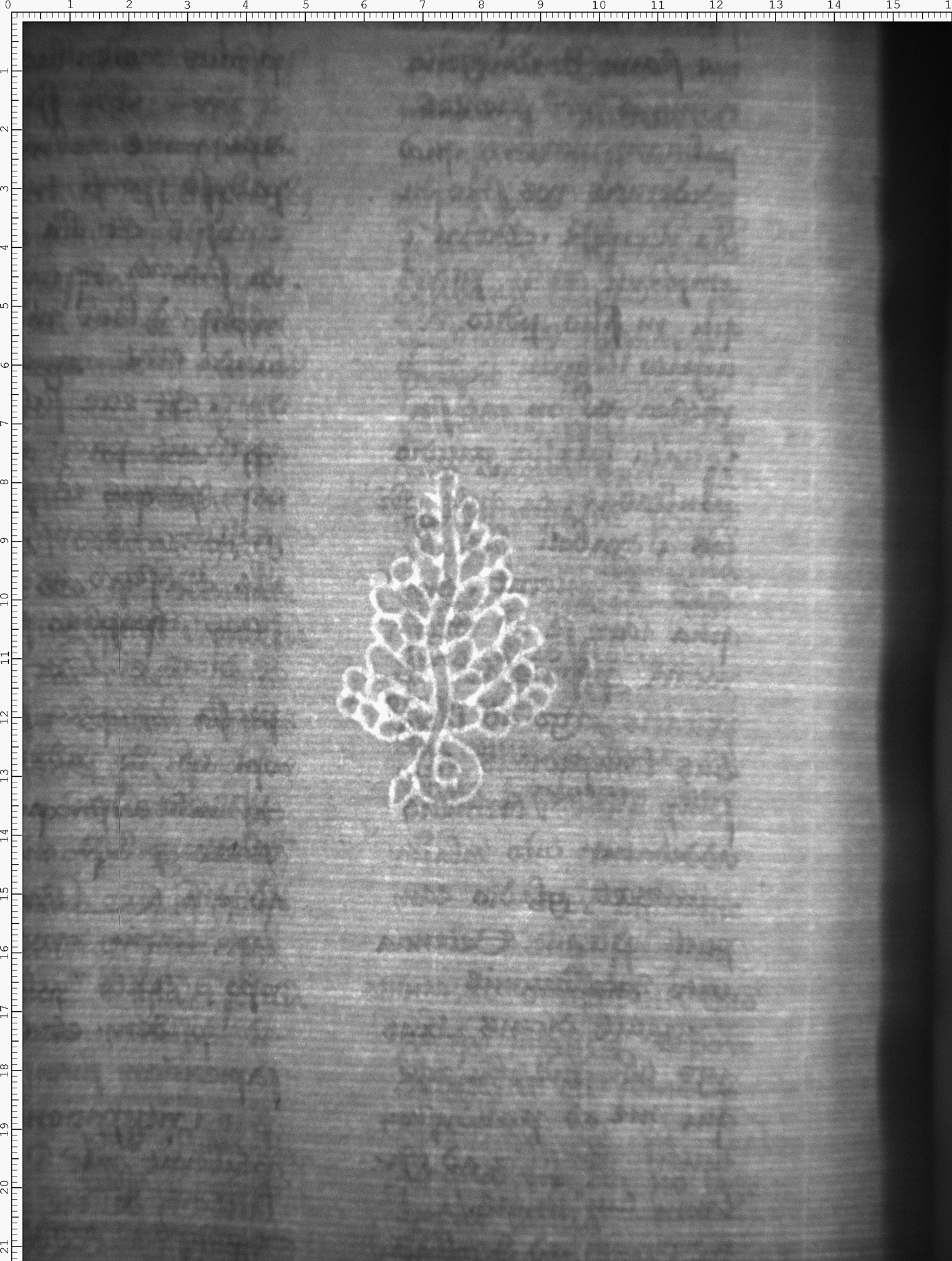 Watermark