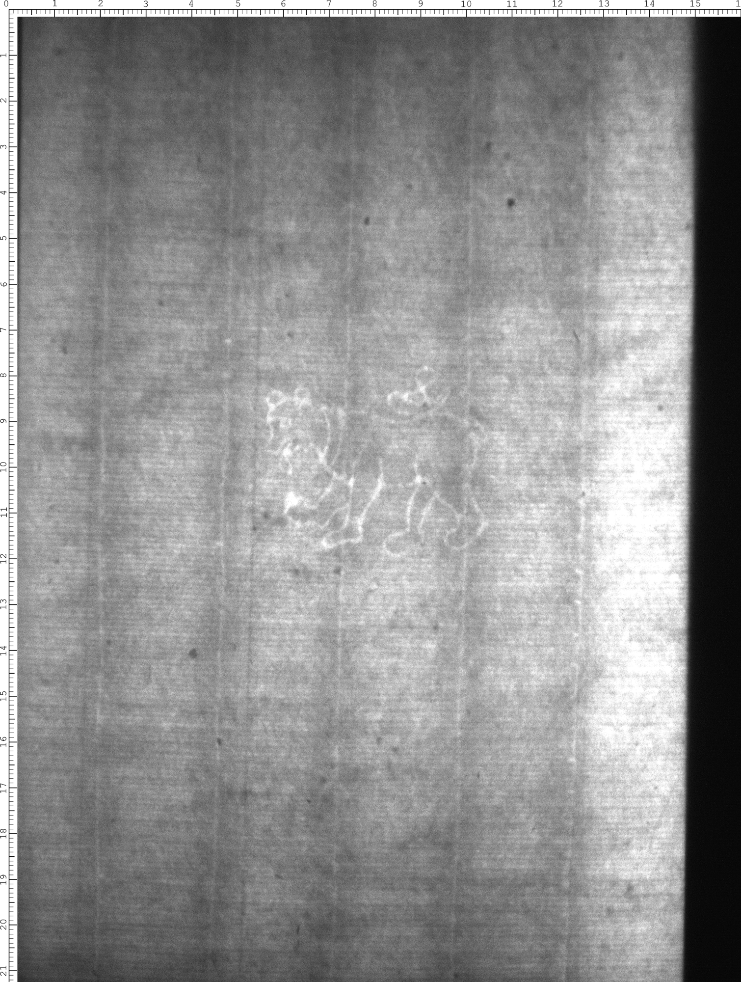 Watermark