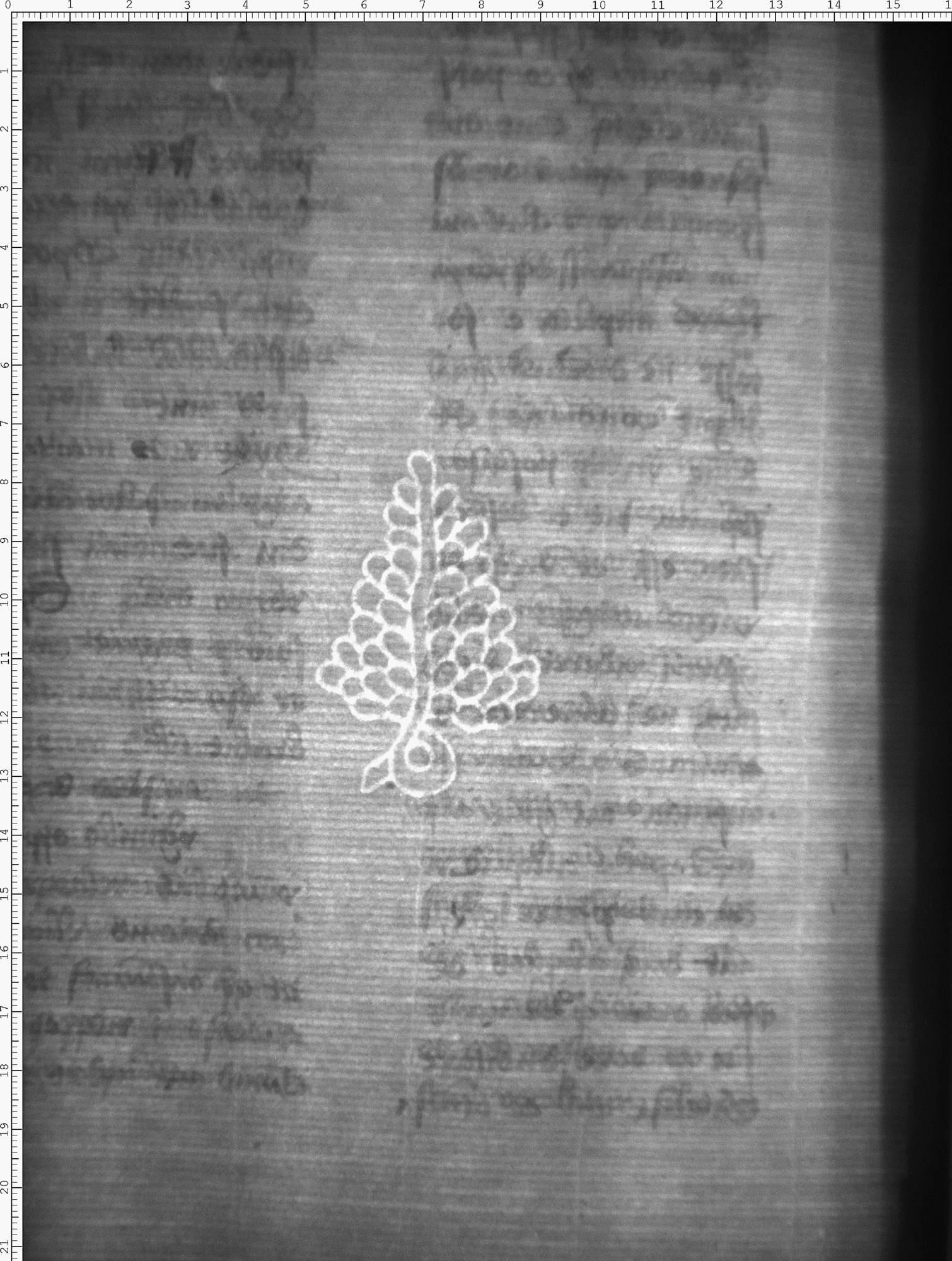 Watermark