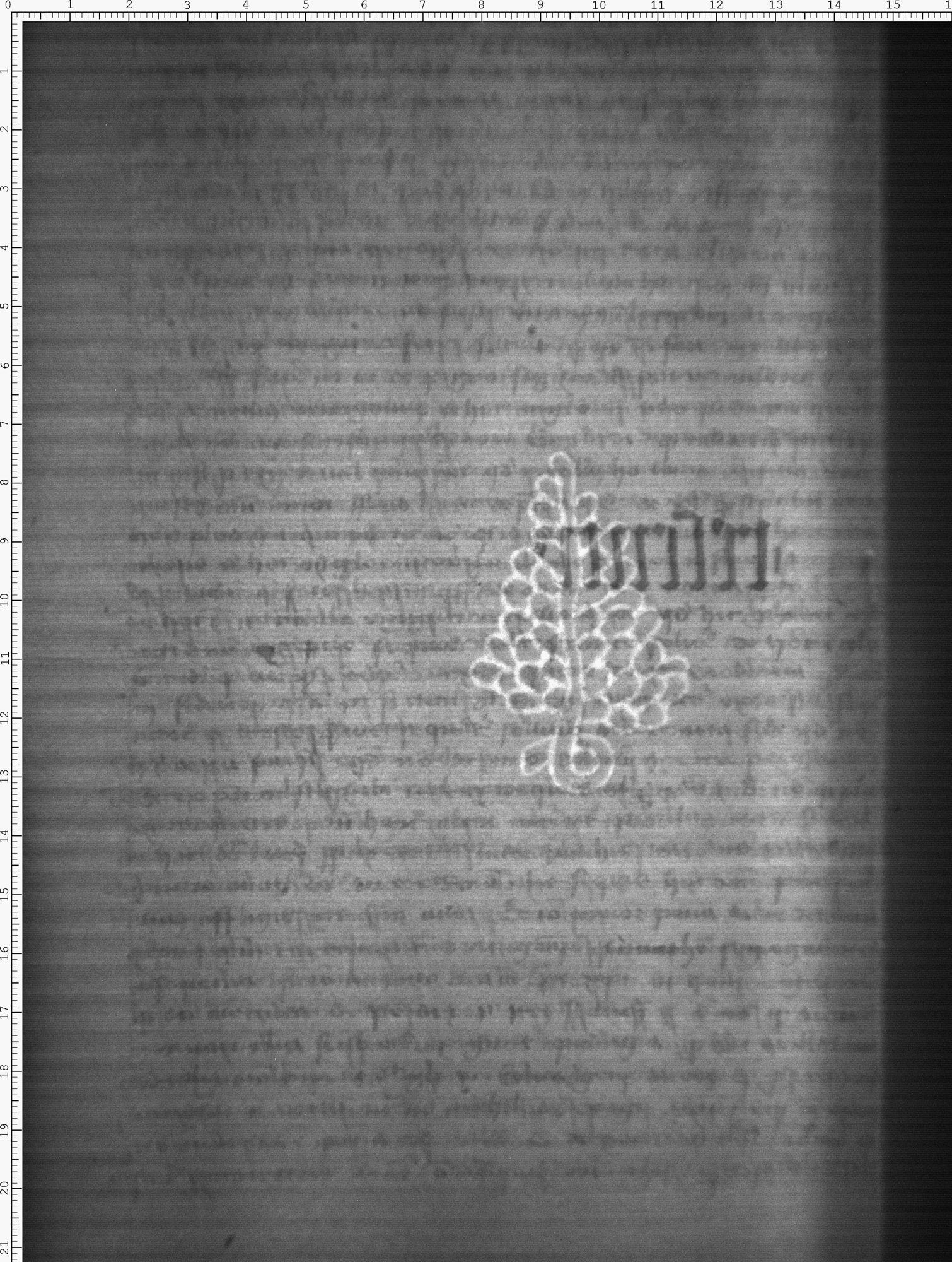 Watermark