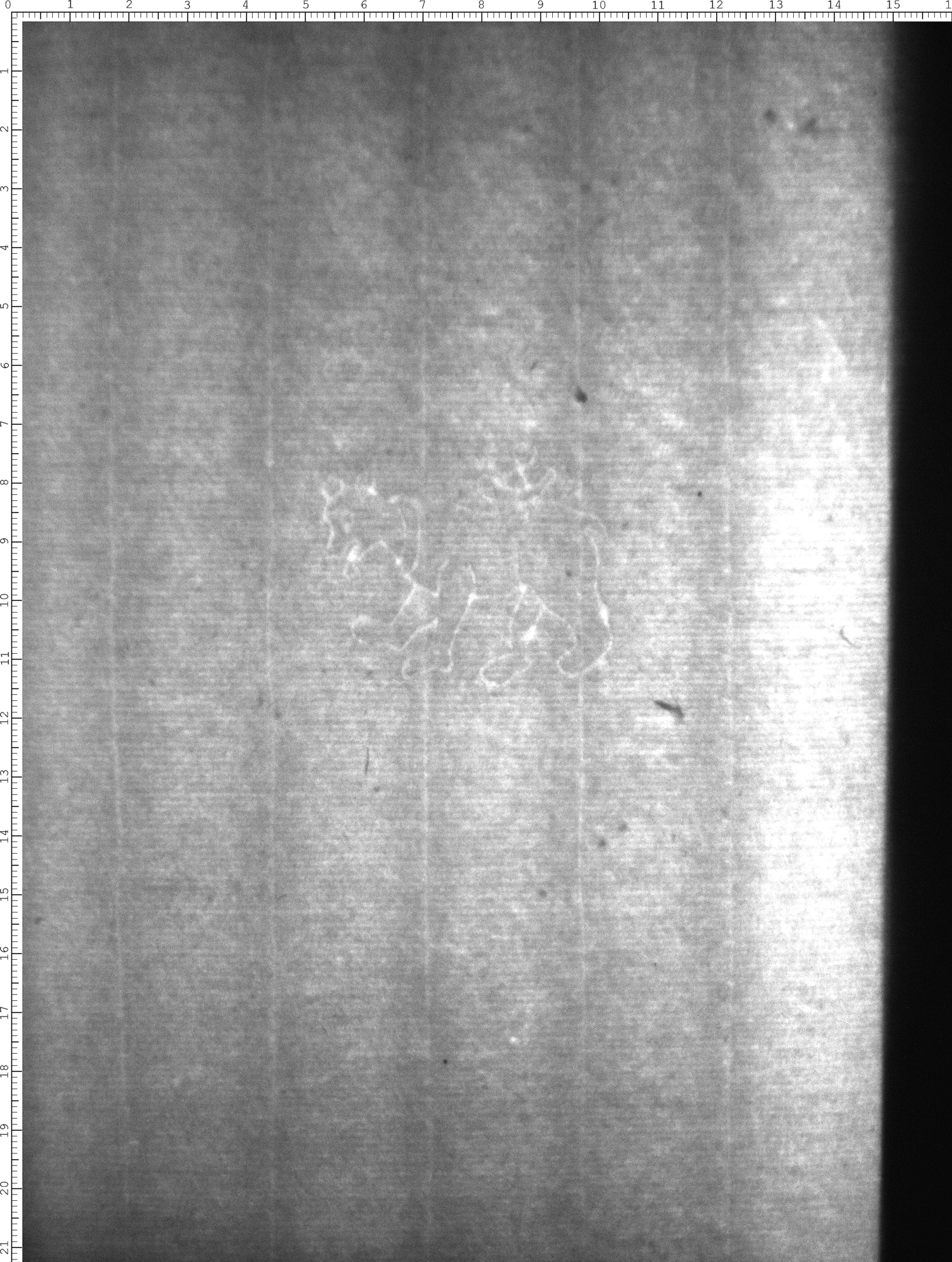 Watermark