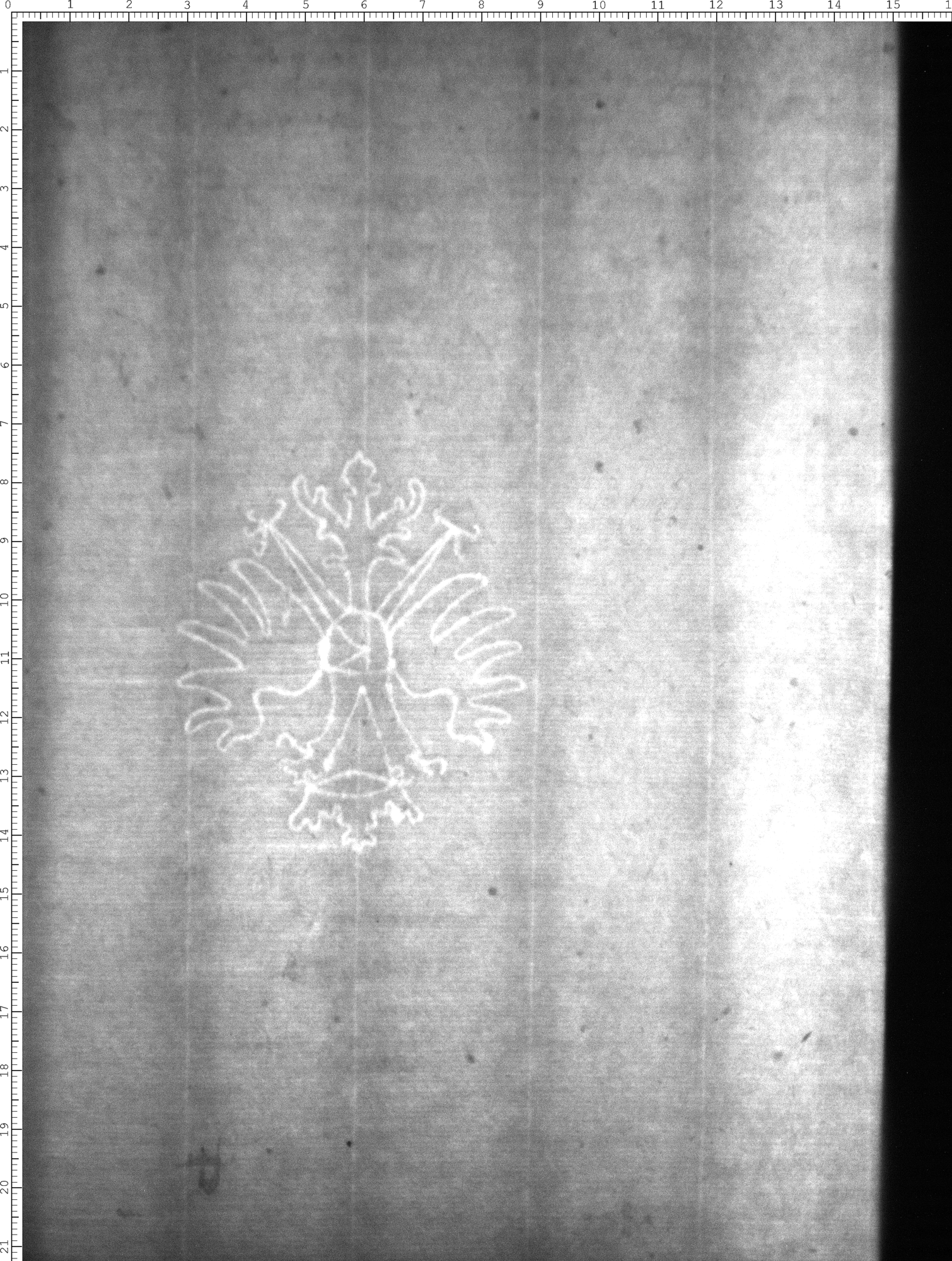 Watermark
