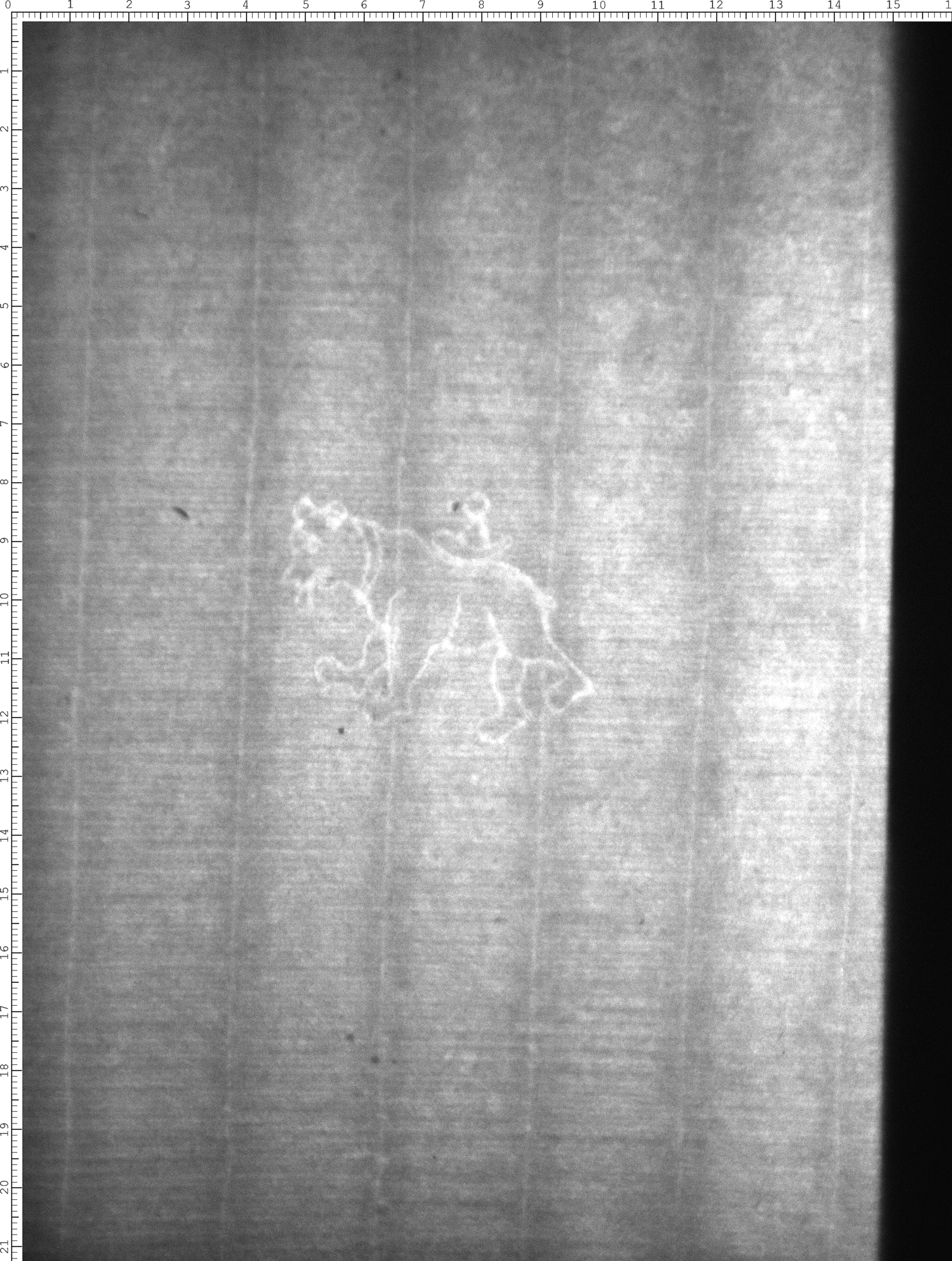 Watermark