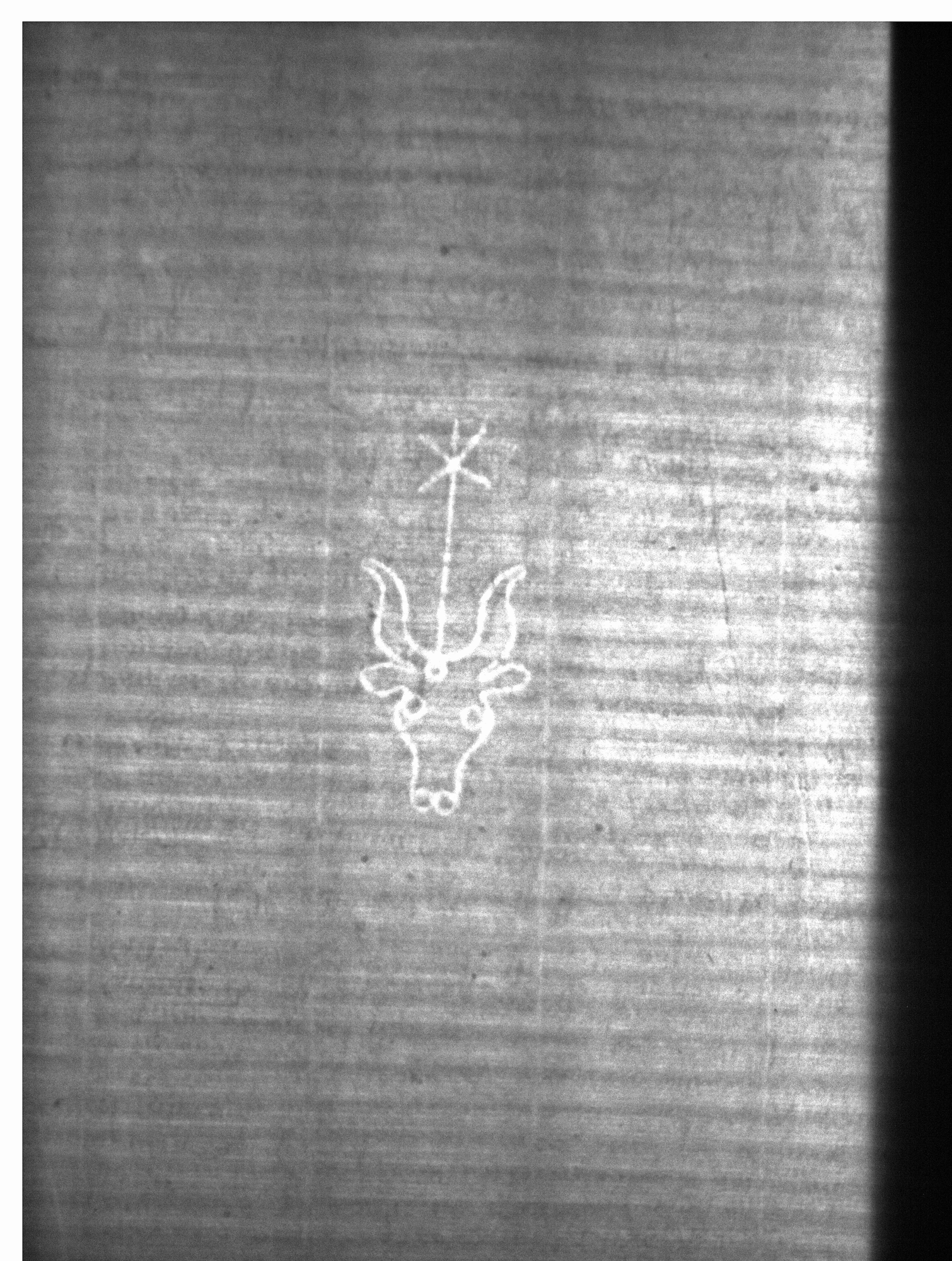Watermark