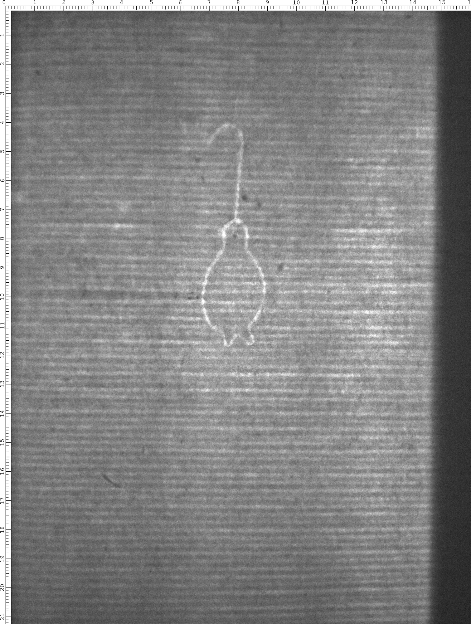Watermark