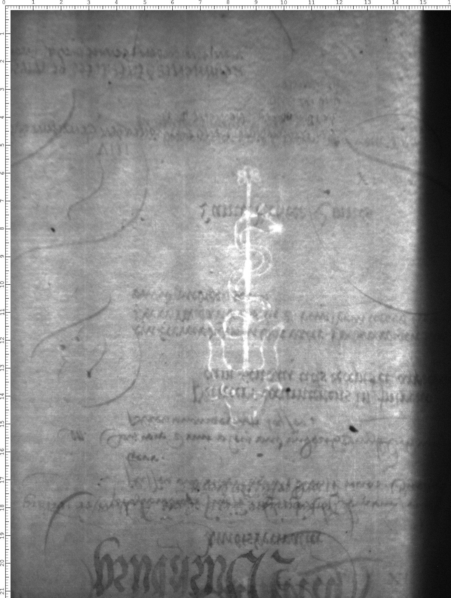 Watermark
