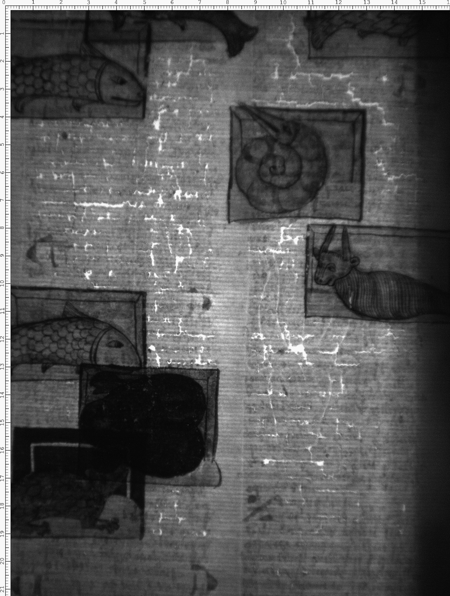 Watermark
