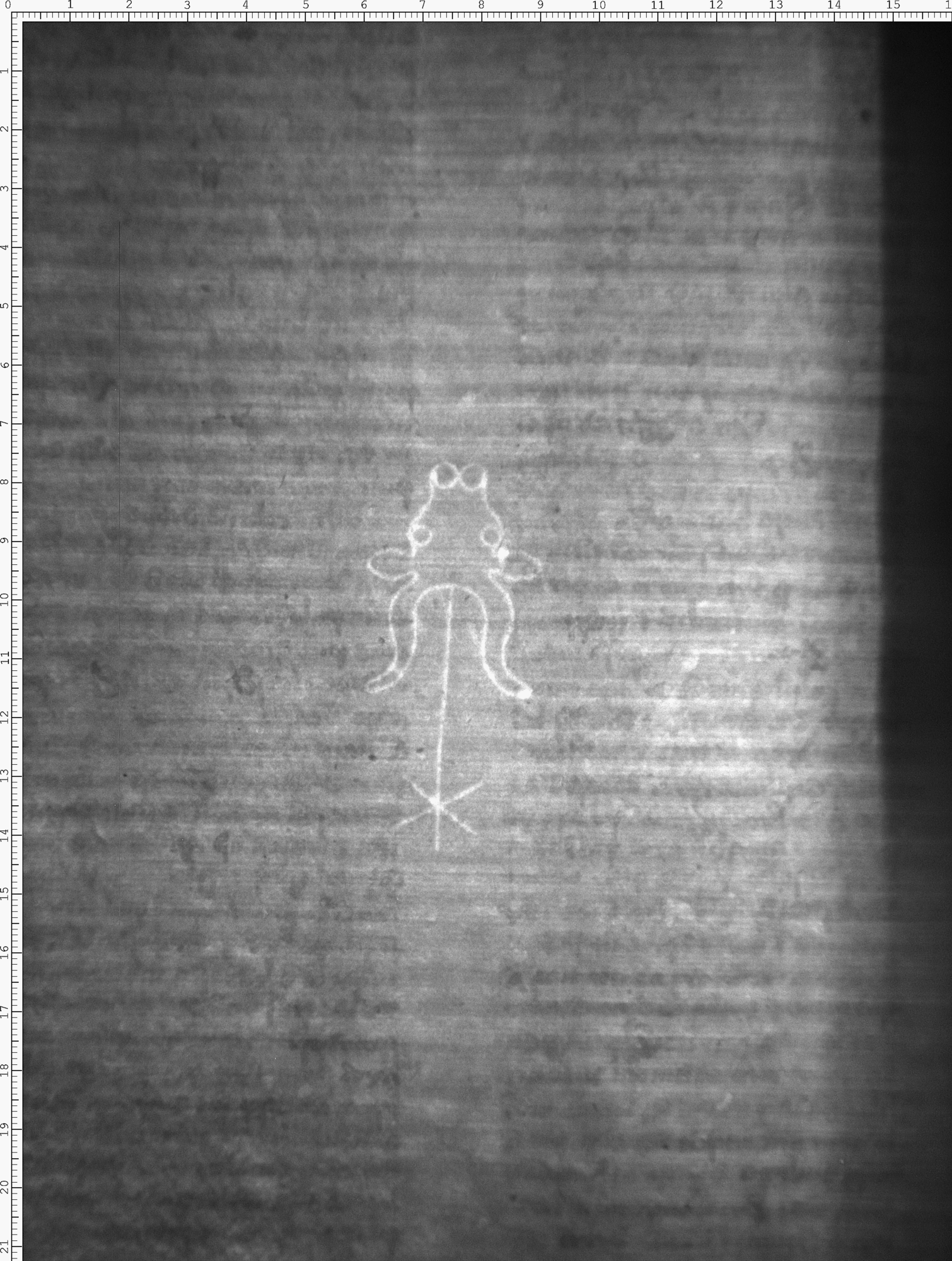 Watermark