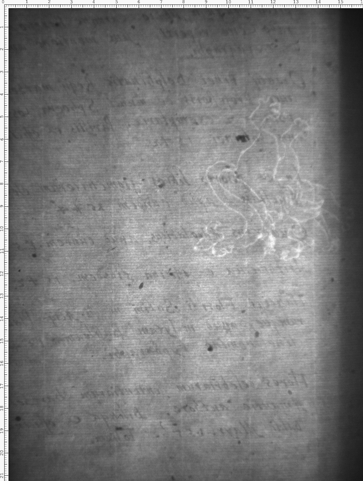 Watermark
