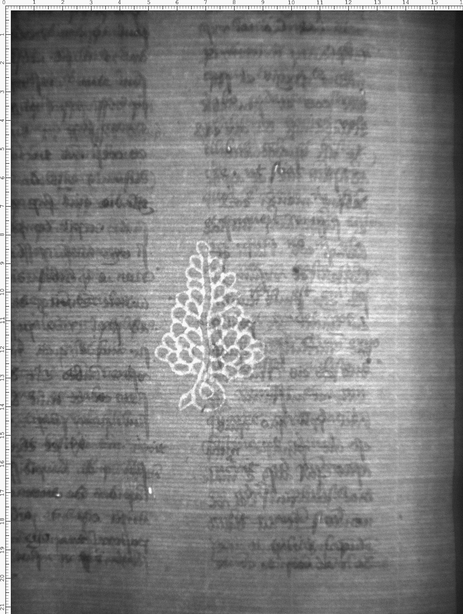 Watermark