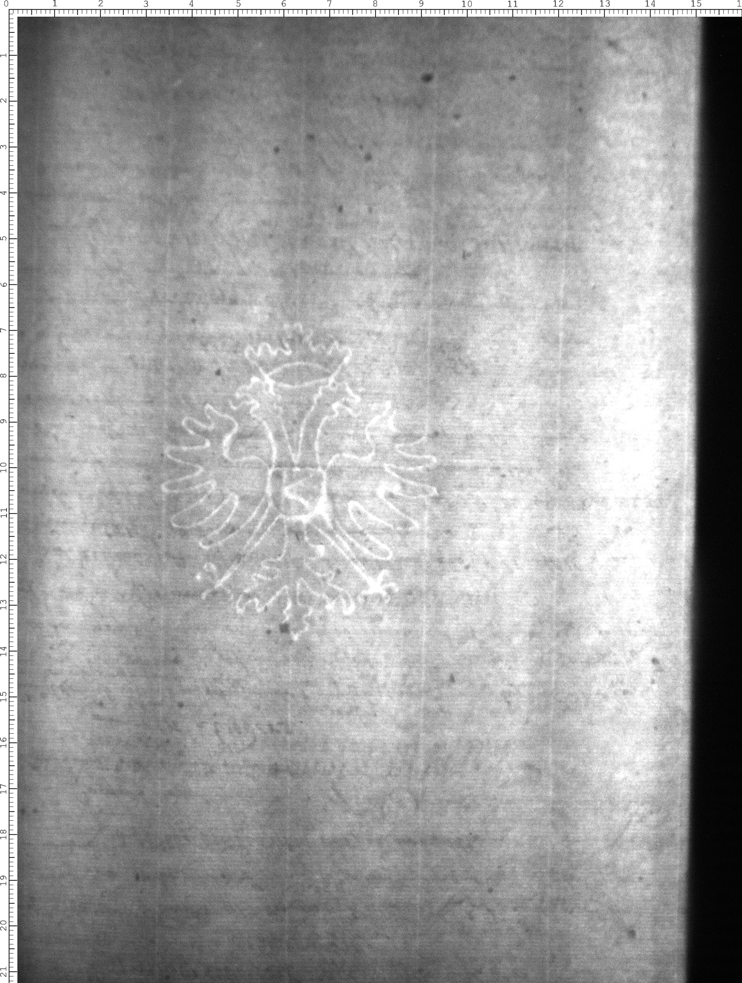 Watermark