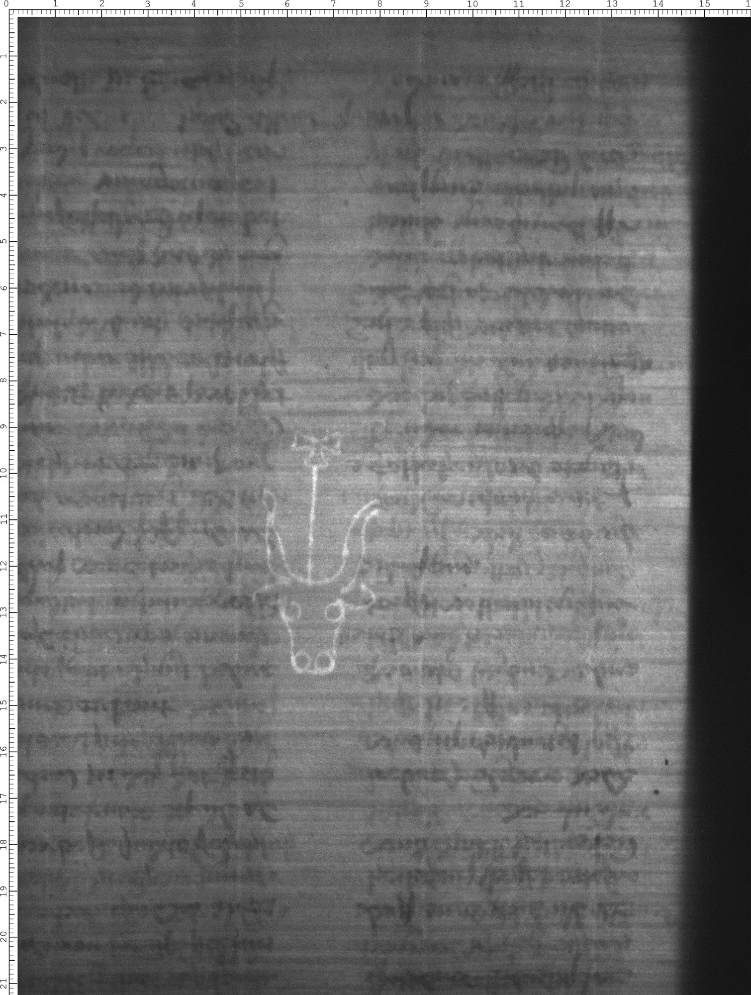 Watermark