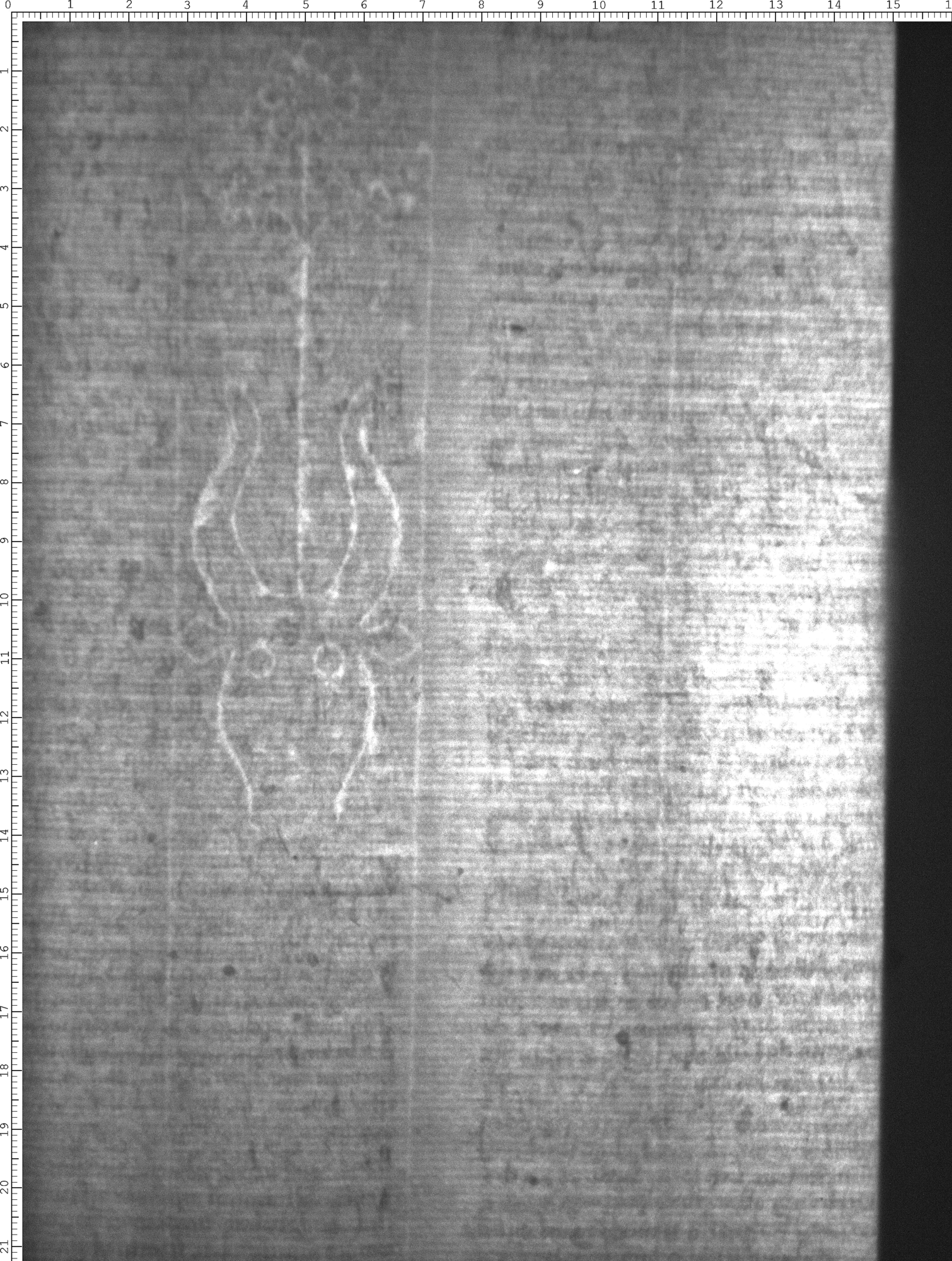 Watermark