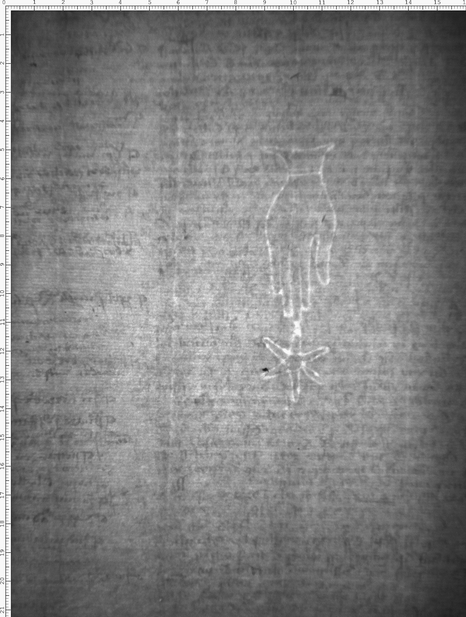 Watermark