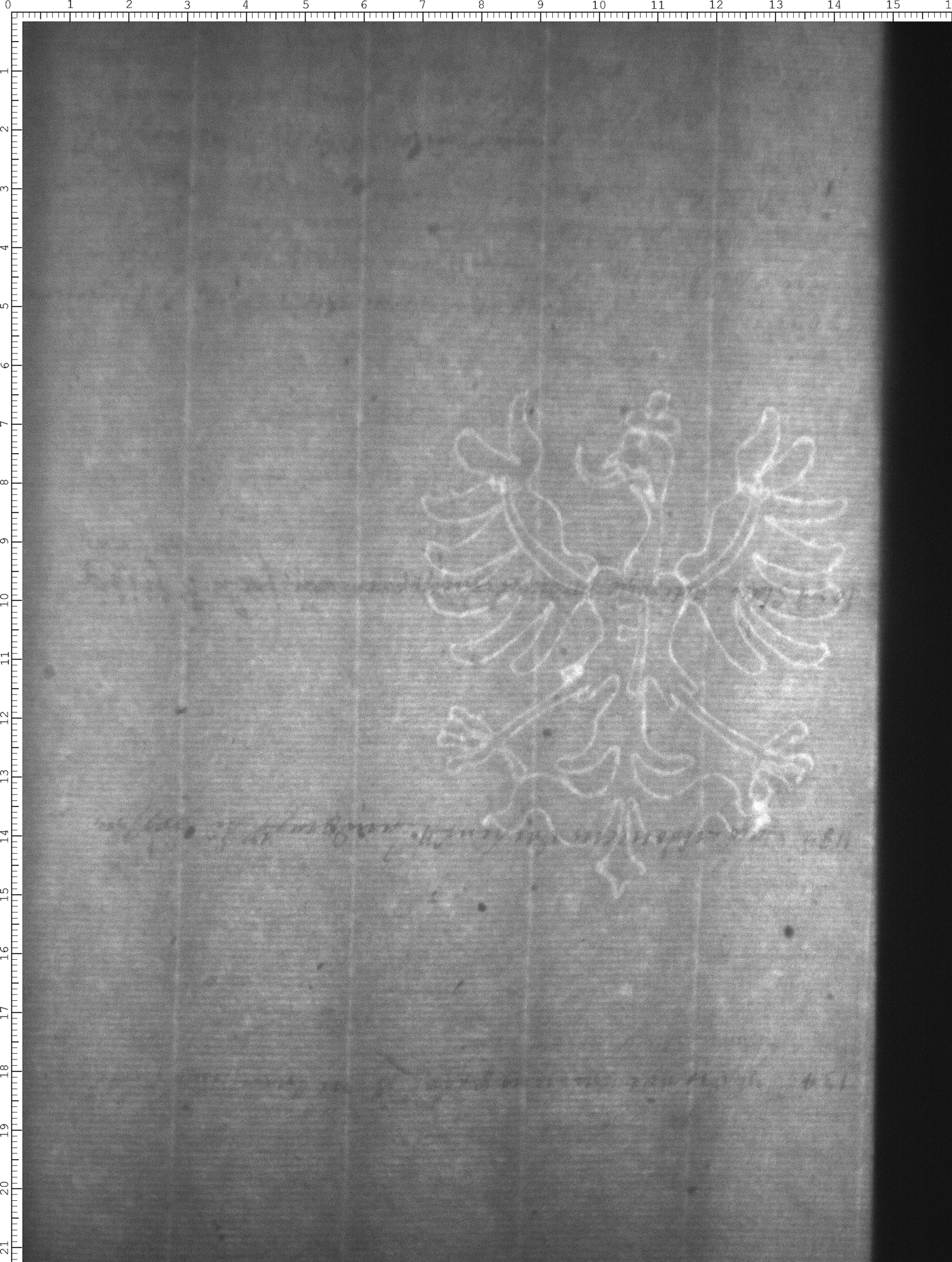 Watermark