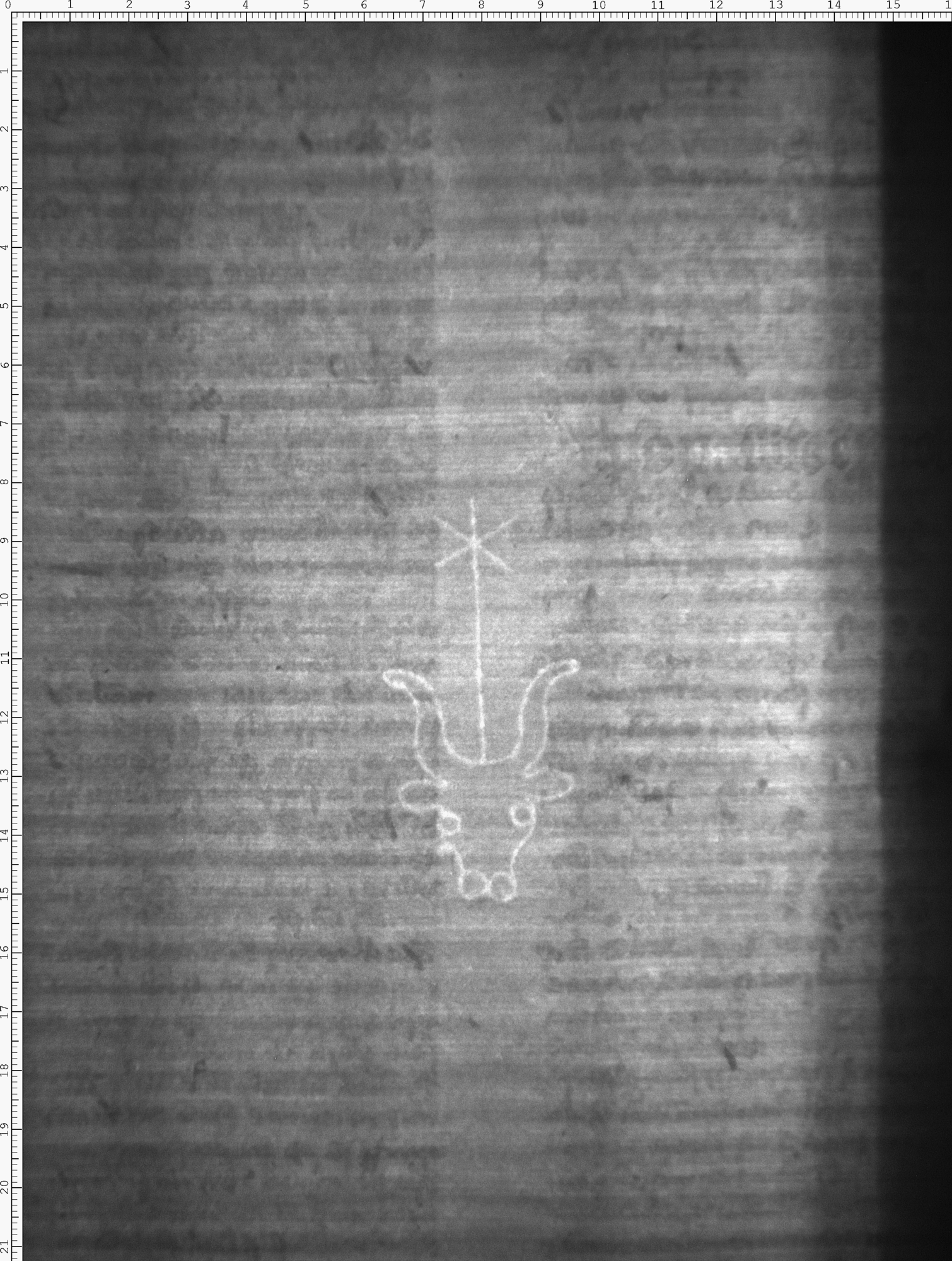 Watermark