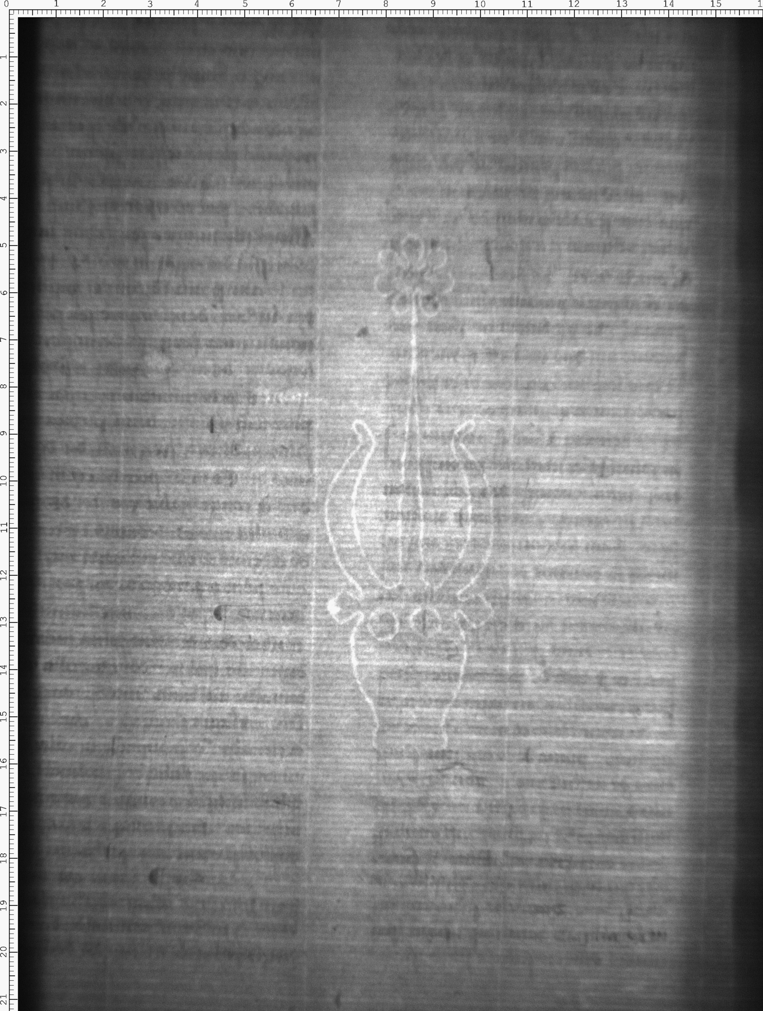 Watermark